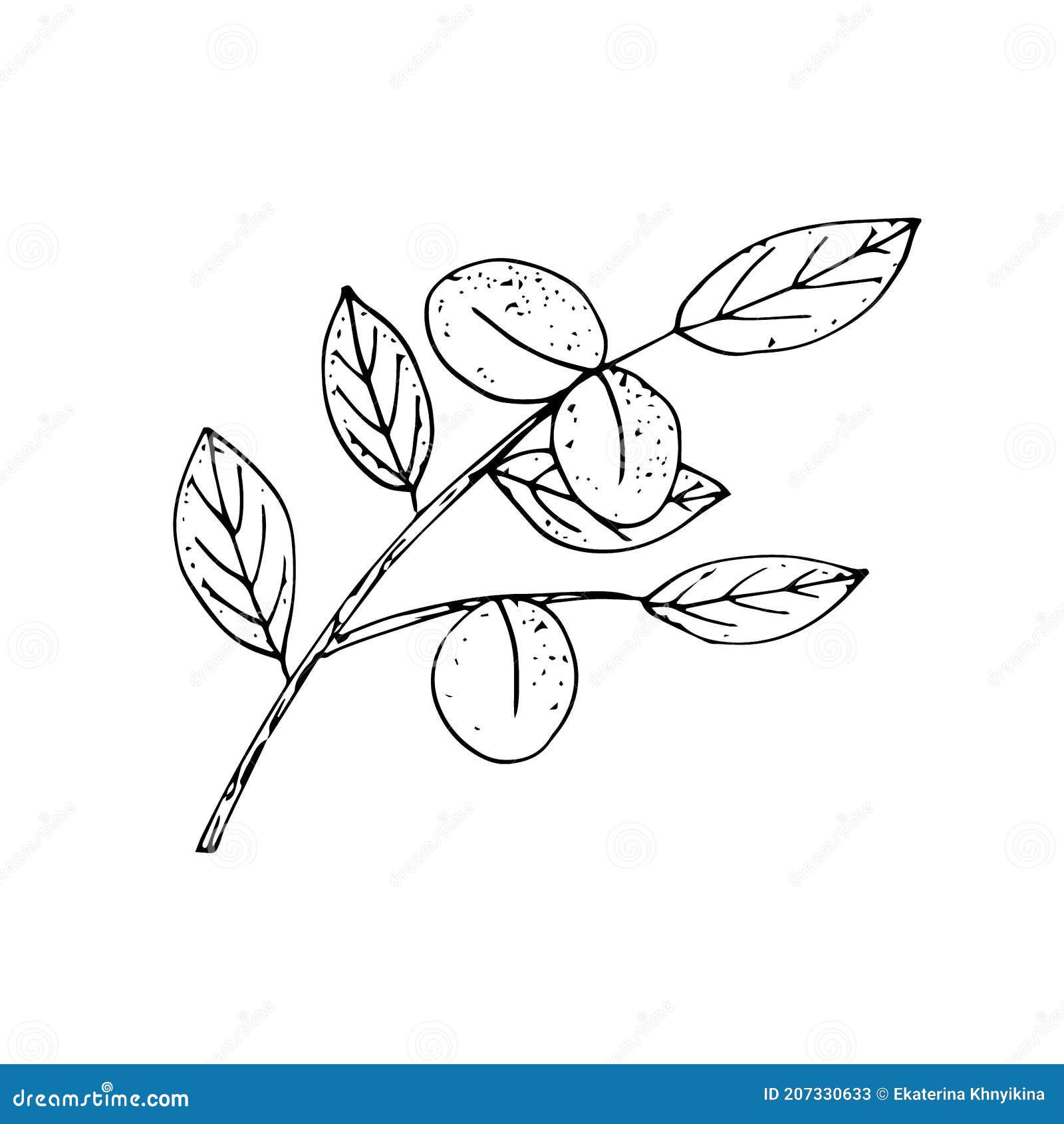 1015695 trees drawing monochrome minimalism grass silhouette branch  flower line sketch twig black and white monochrome photography font   Rare Gallery HD Wallpapers