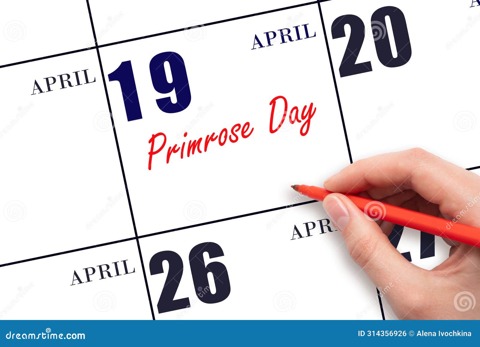 april 19. hand writing text primrose day on calendar date. save the date.