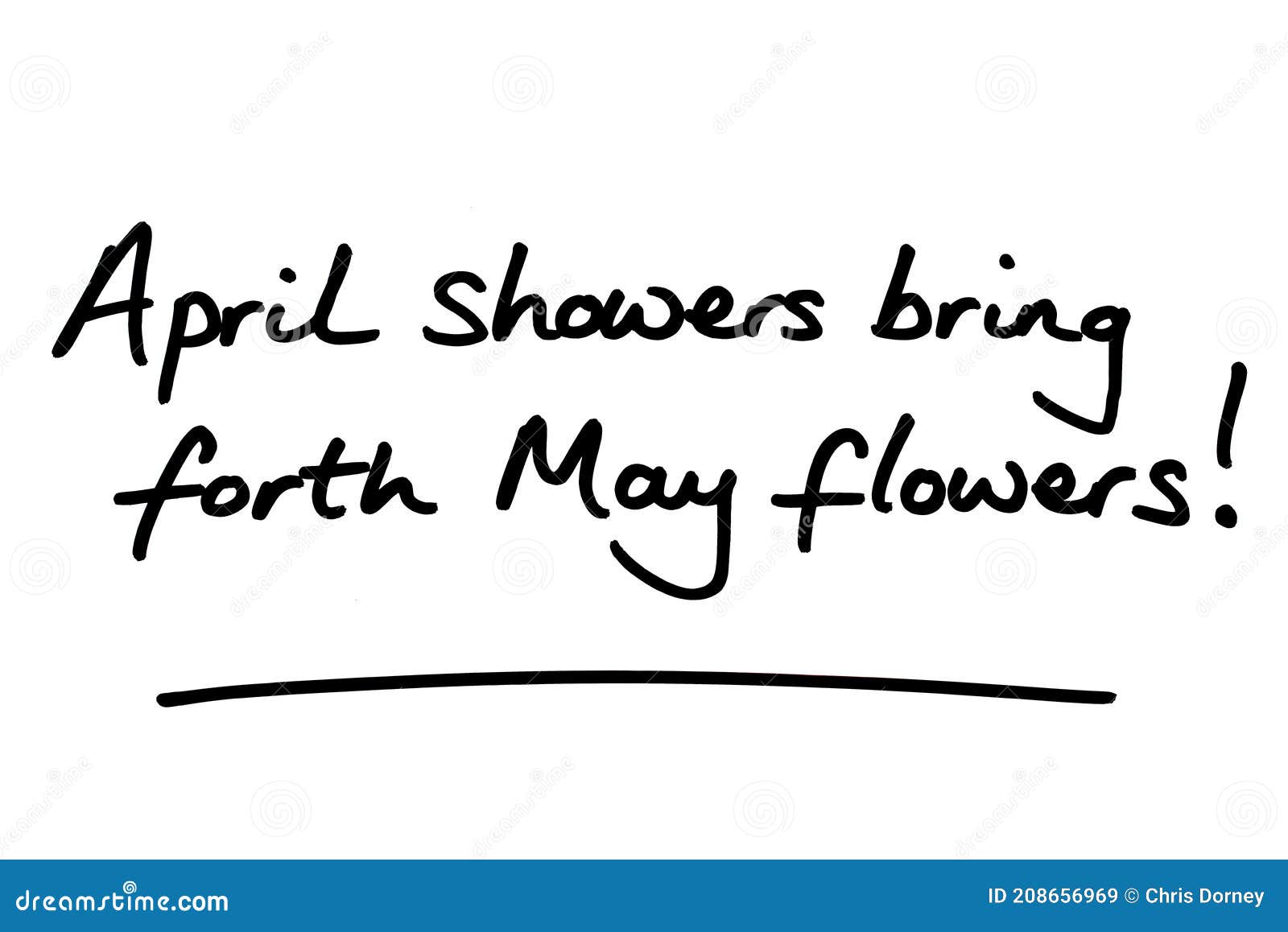 April Showers Bring Forth May Flowers Stock Illustration Illustration