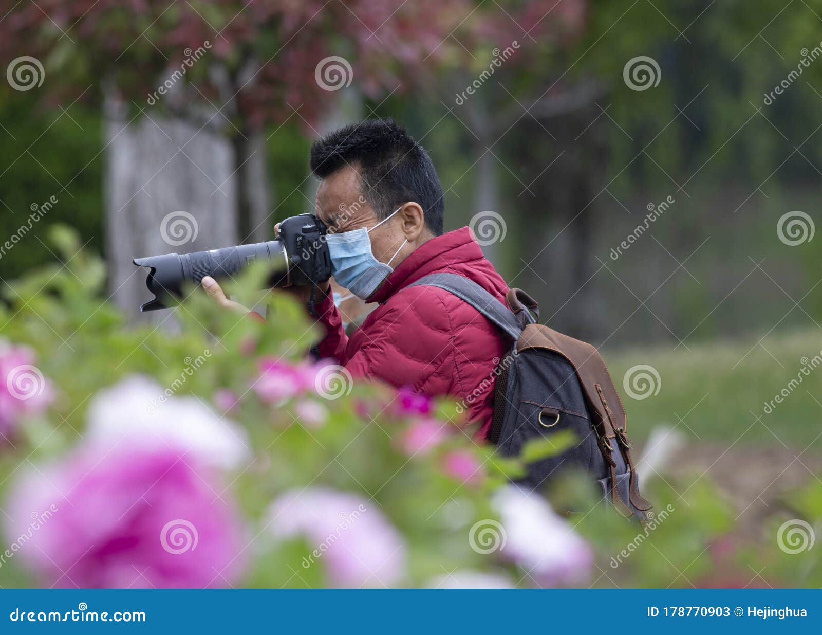 tilgivet silke væsentligt Jiangsu, China: Peony Flowers Blooming and Tourists Drunk Editorial Stock  Photo - Image of china, full: 178770903