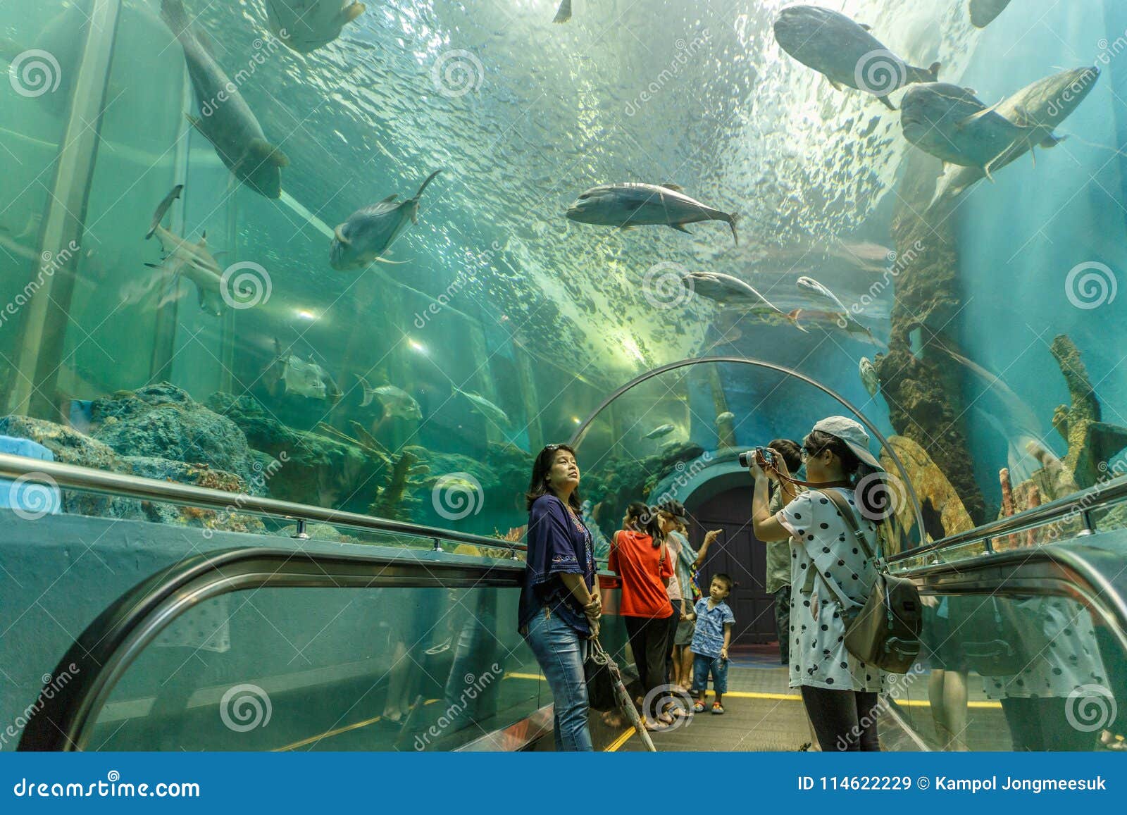 Rayong / Thailand - April 13 2018: Visitors Look Around and See Various ...