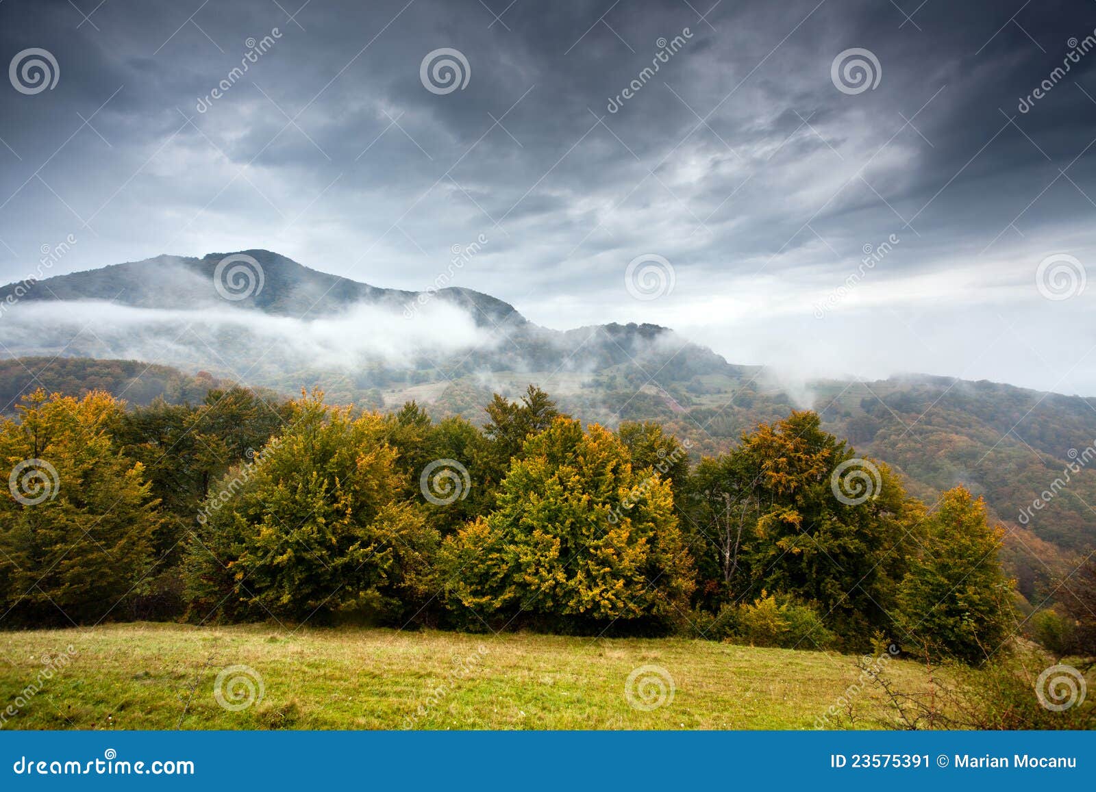 apuseni landscape