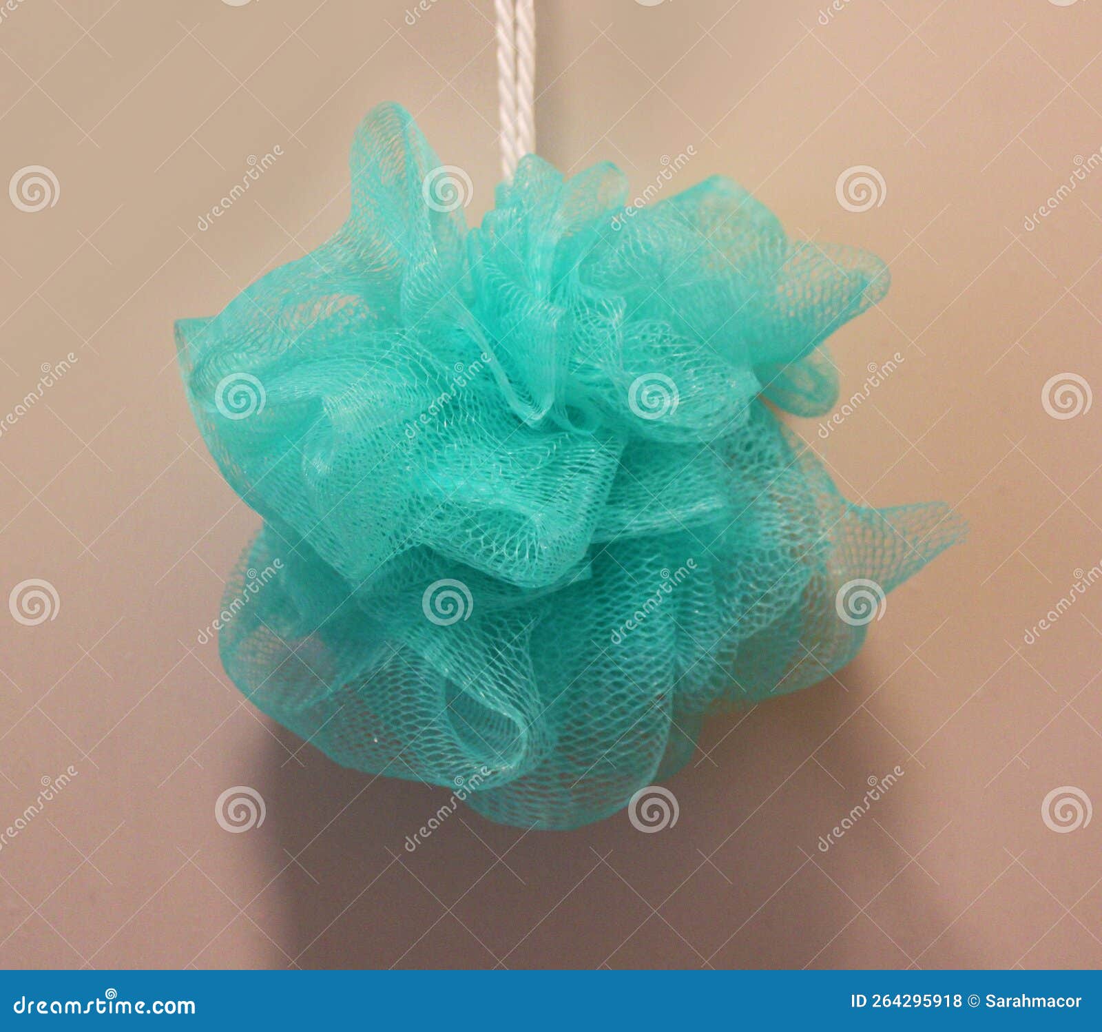 An Aqua Blue Shower Loofah stock photo. Image of loofah 264295918