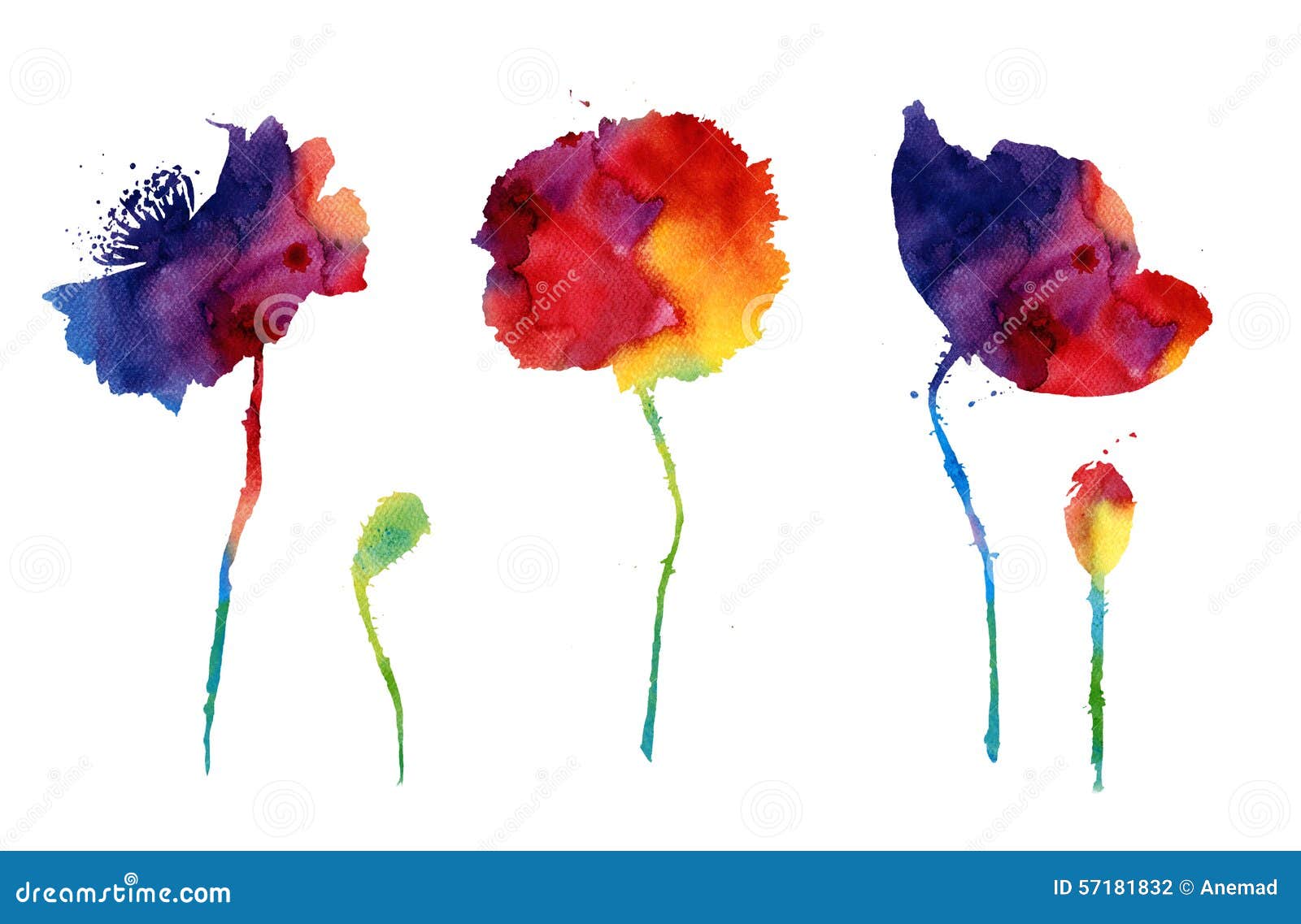 Aquarelle Avec Les Fleurs Abstraites De Pavot Illustration Stock -  Illustration du floral, saison: 57181832