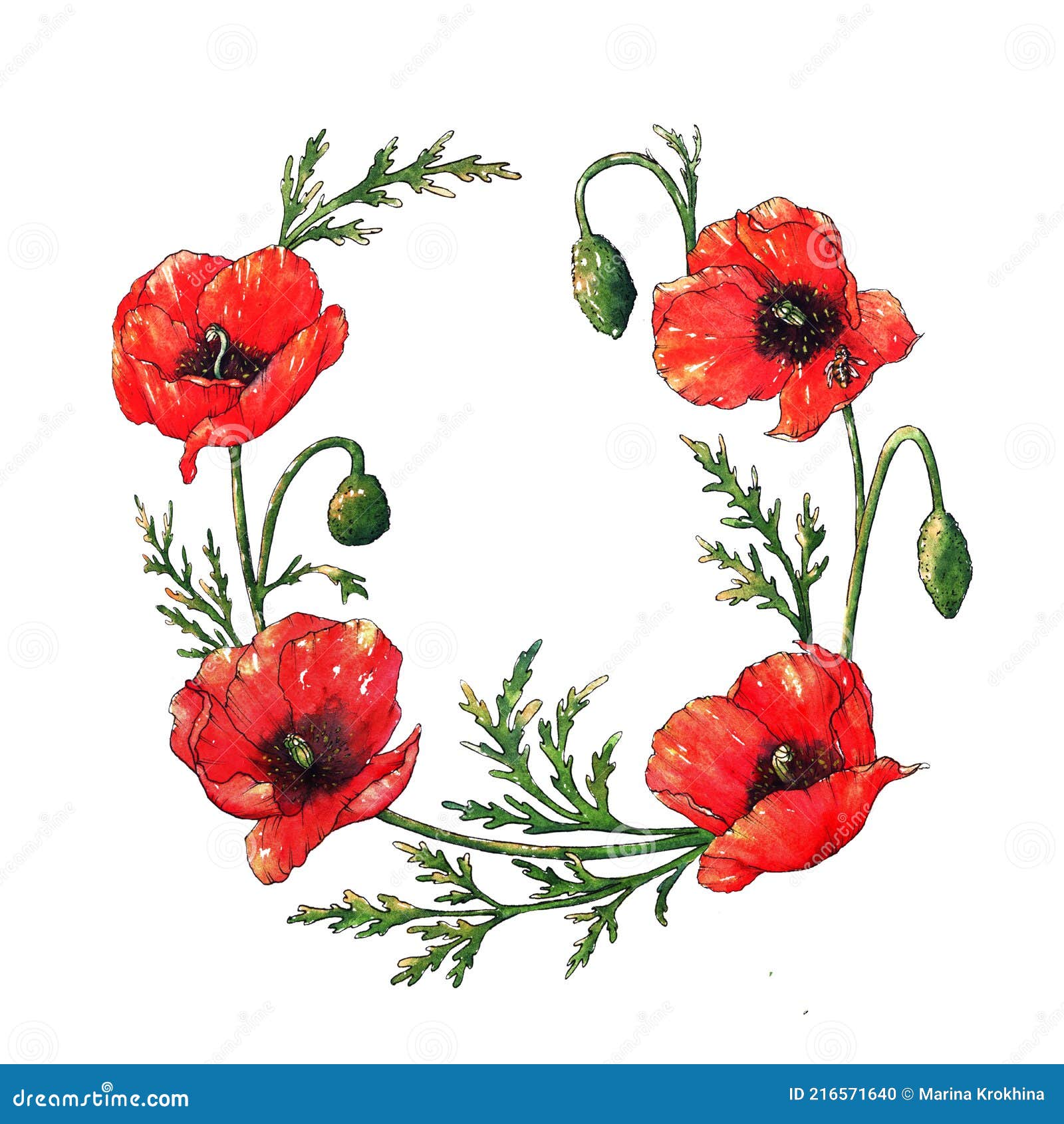 Aquarelle Coquelicots Couronne Dessinée à La Main Illustration Florale  Fleurs De Champs Rouges Illustration Stock - Illustration du dessiné,  ramassage: 216571640