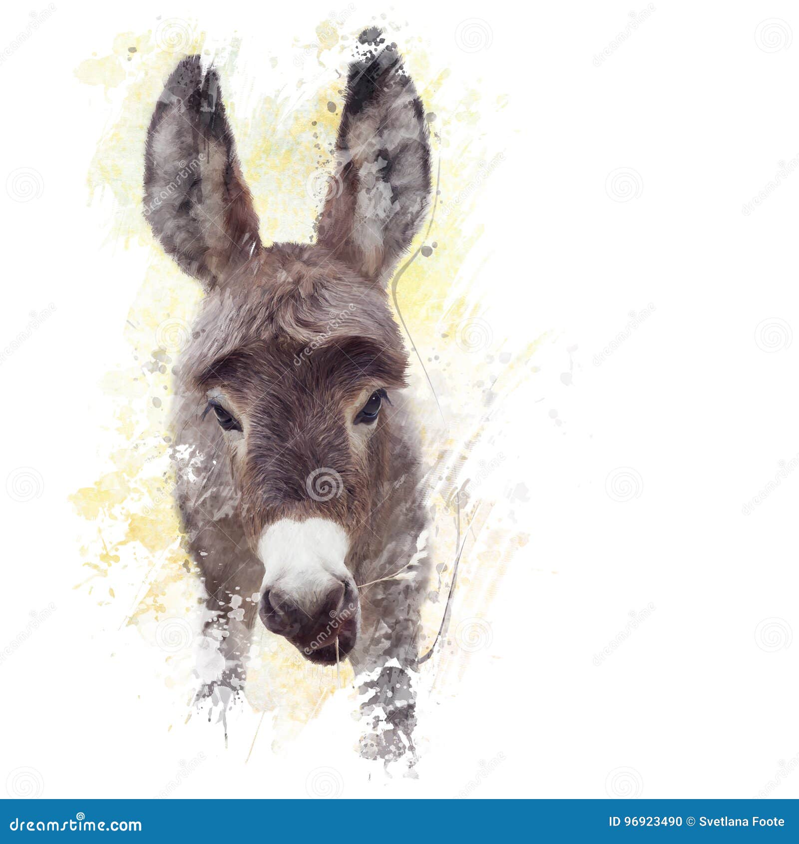 Aquarelle De Mule D Ane De Bebe Illustration Stock Illustration Du Illustration Paille Aquarelle De Mule D Ane De Bebe Illustration Stock Illustration Du Illustration Paille