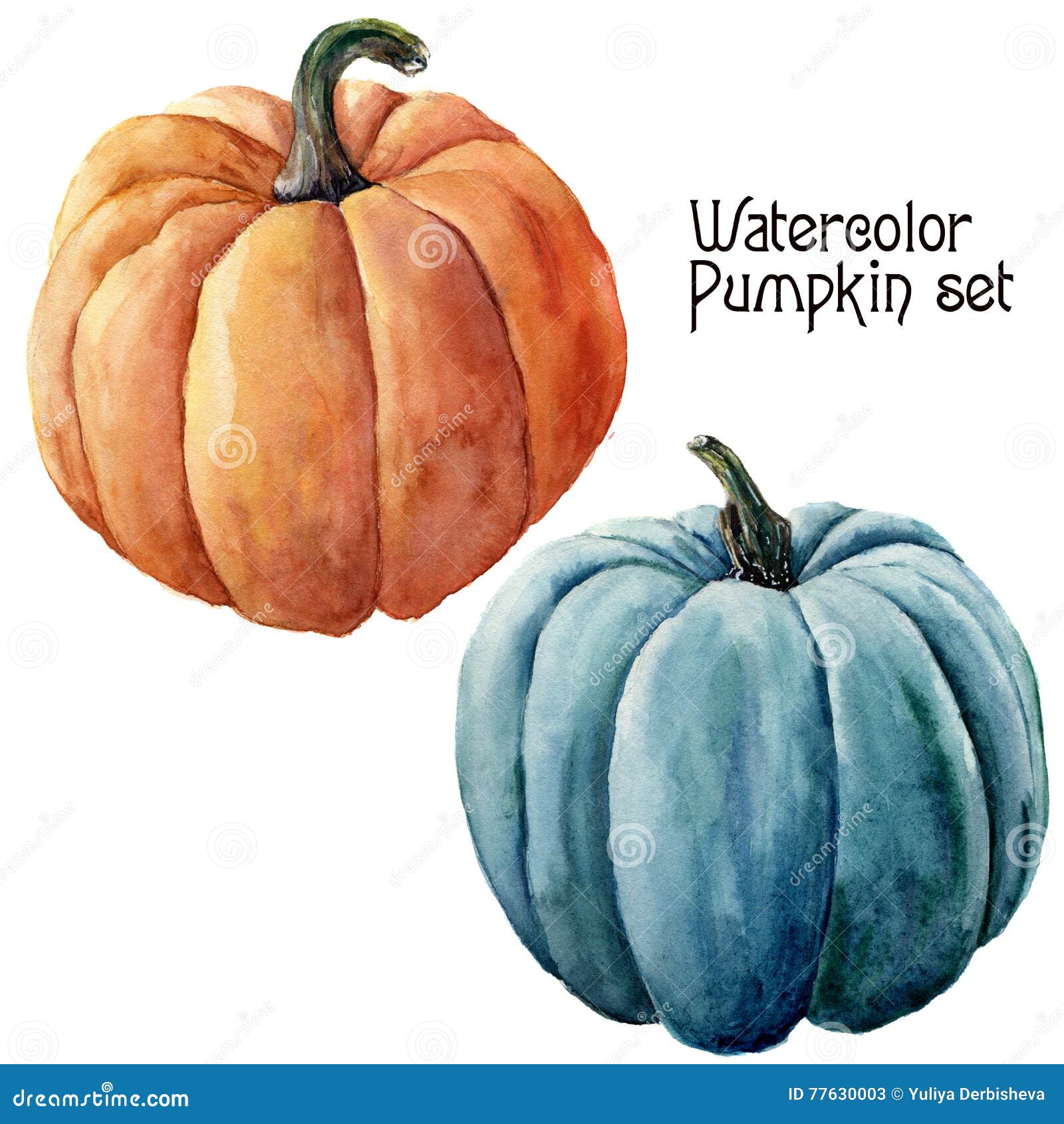 Aquarellkurbissatz Handgemaltes Orange Und Blaues Gemuse Lokalisiert Auf Weissem Hintergrund Herbstkurbisdruck Fur Design Stock Abbildung Illustration Von Herbstkurbisdruck Orange 77630003