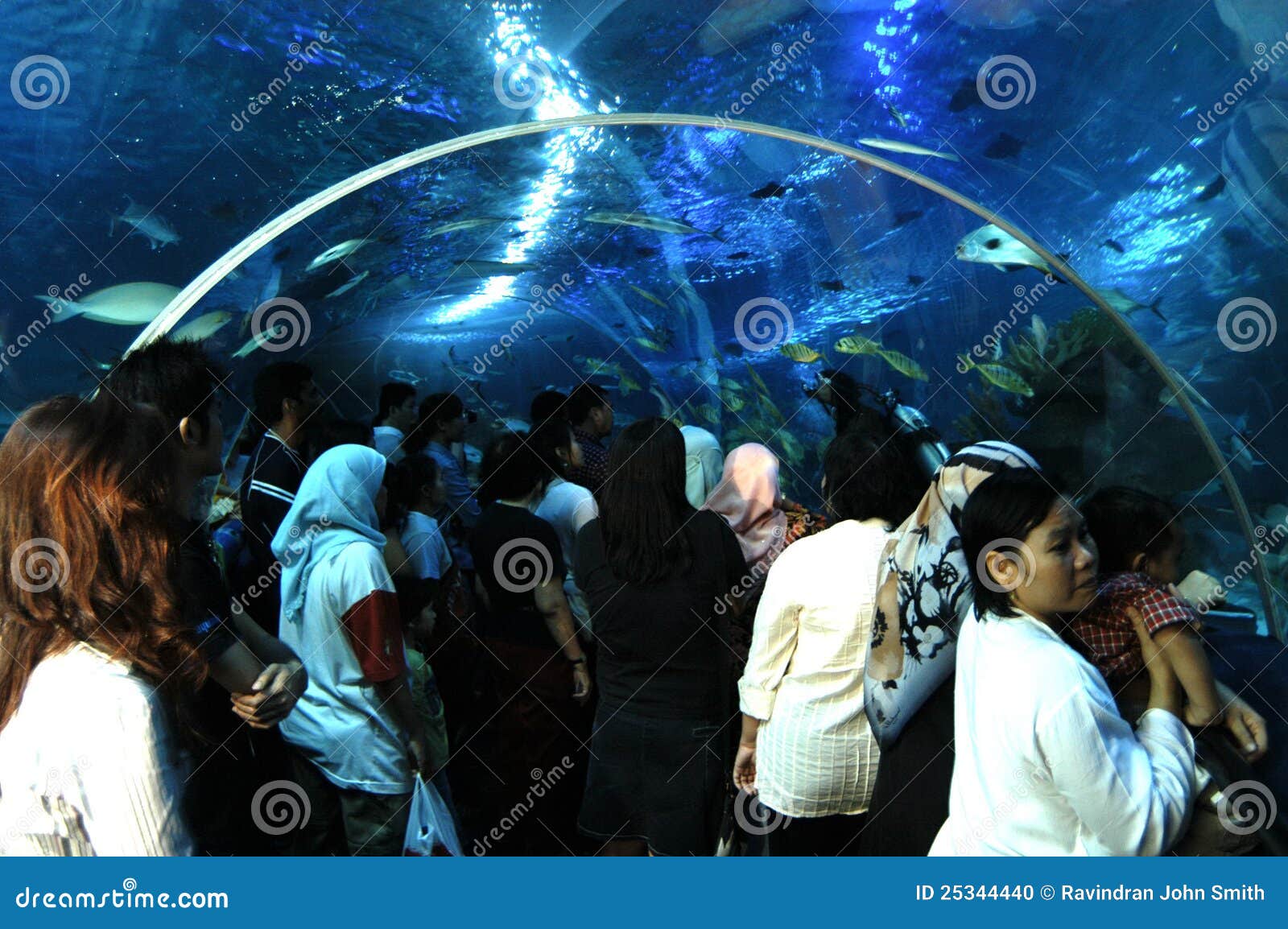 Aquaria KLCC editorial image. Image of lumpur, kuala 25344440