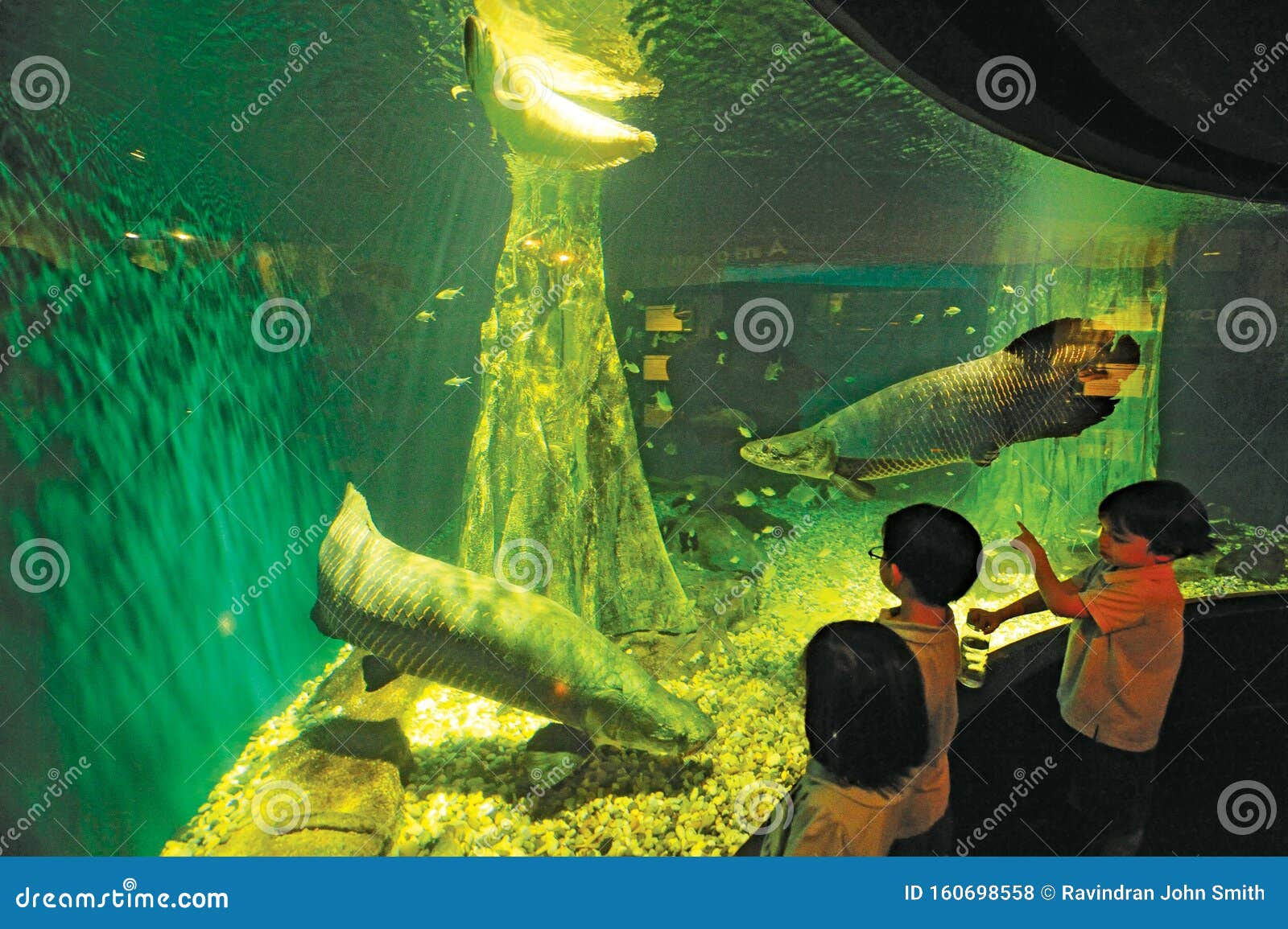 Aquaria KLCC Kuala Lumpur foto de archivo editorial. Imagen de situado