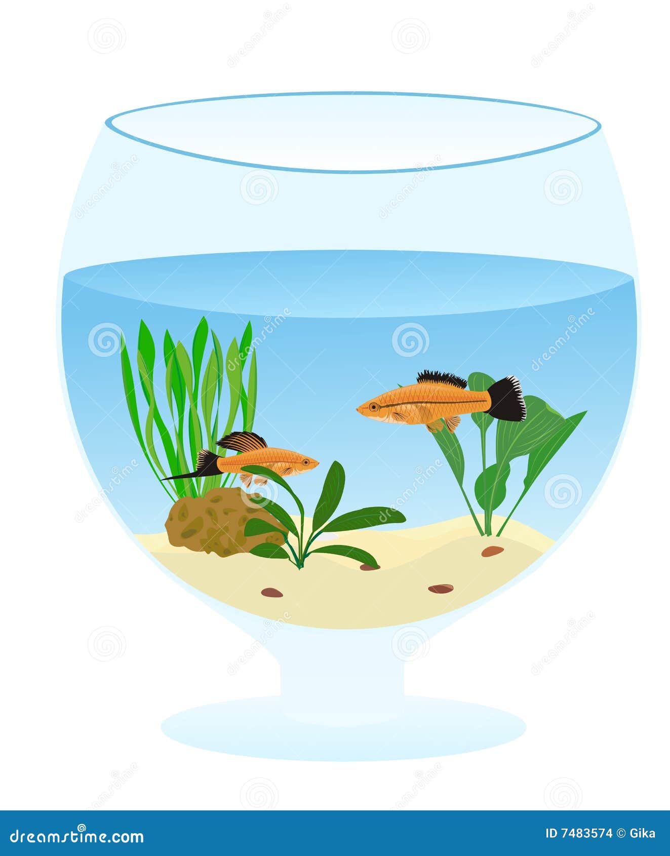 Aquarium Bowl Stock Illustrations – 7,695 Aquarium Bowl Stock  Illustrations, Vectors & Clipart - Dreamstime