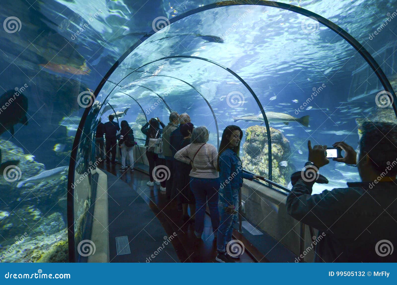 Aquarium DE Barcelona, Spanje Redactionele Fotografie Image of