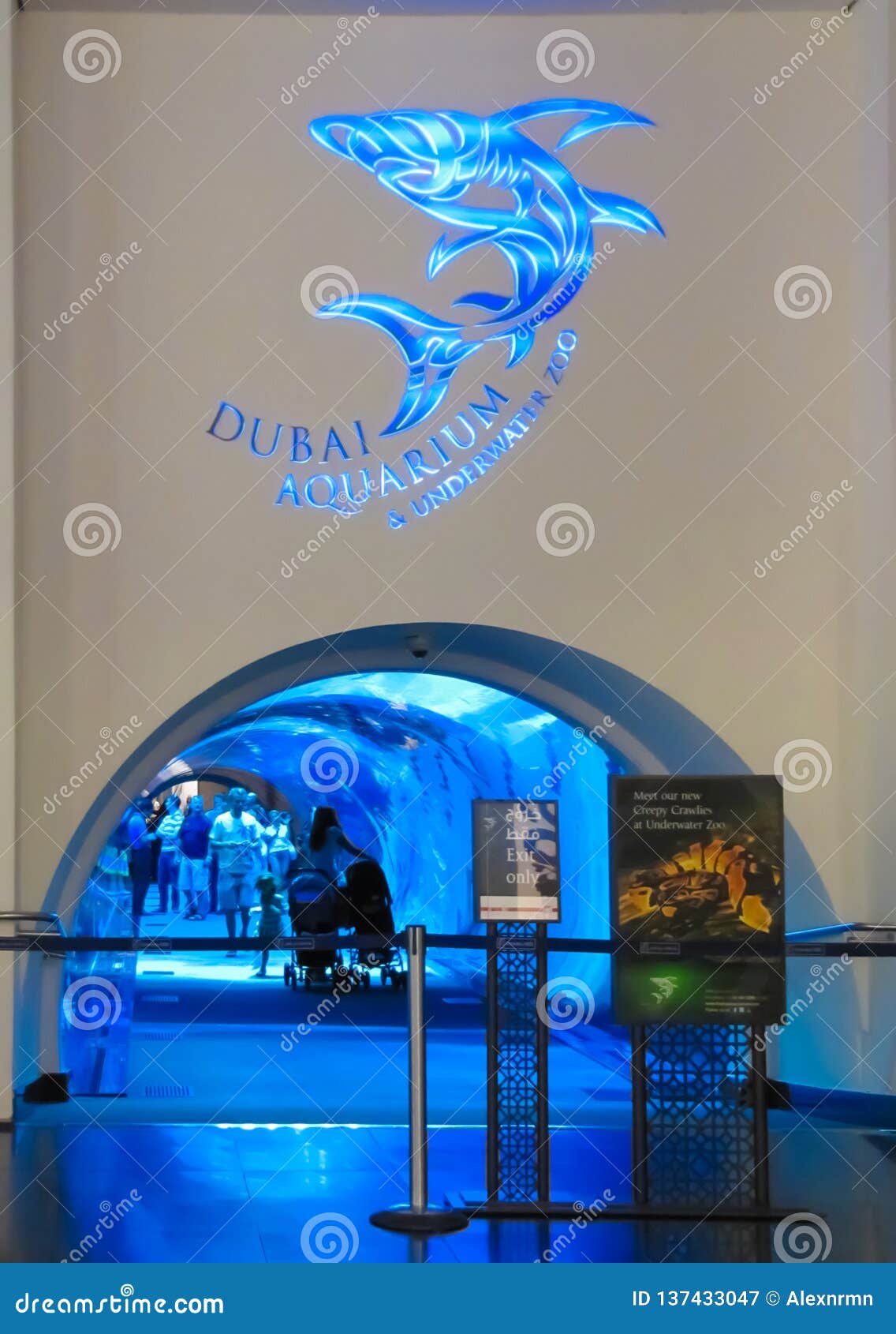 Het aquarium in de Wandelgalerij van Doubai is één van grootste die oceanariums in de wereld, in de grootste wandelgalerij in het Midden-Oosten wordt gevestigd - de Wandelgalerij van Doubai