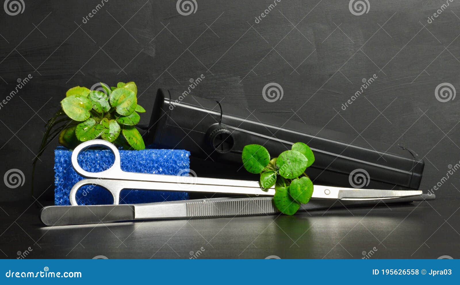 Aquarium Filter with Accessories Stock Photo Image of accessory