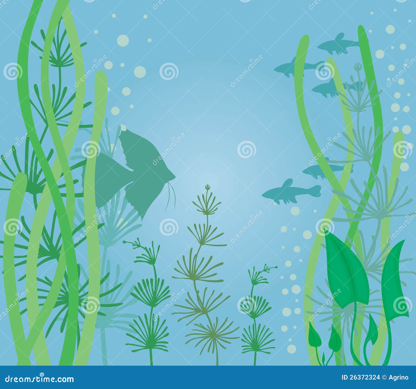 Aquarium with fish stock vector. Illustration of cryptocoryne - 26372324