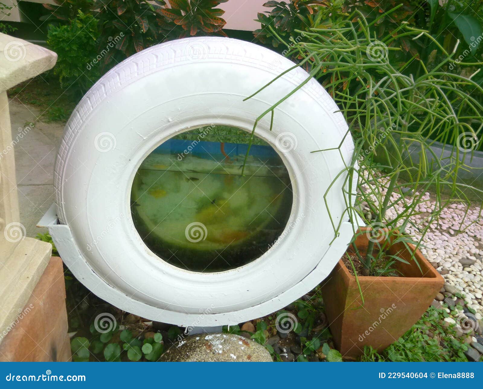 Aquarium, Fish Tank Made from Old Car Tire Painted in White