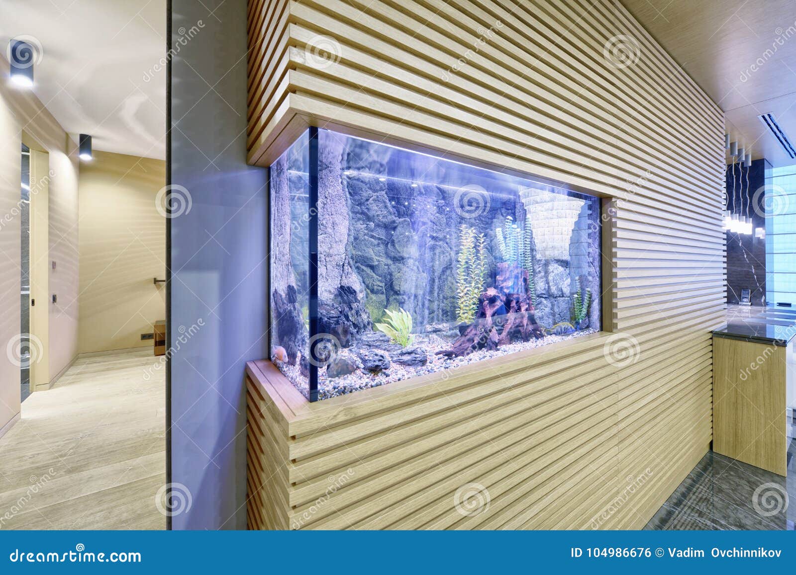Aquarium In The Interior Of Modern Apartment Stock Photo