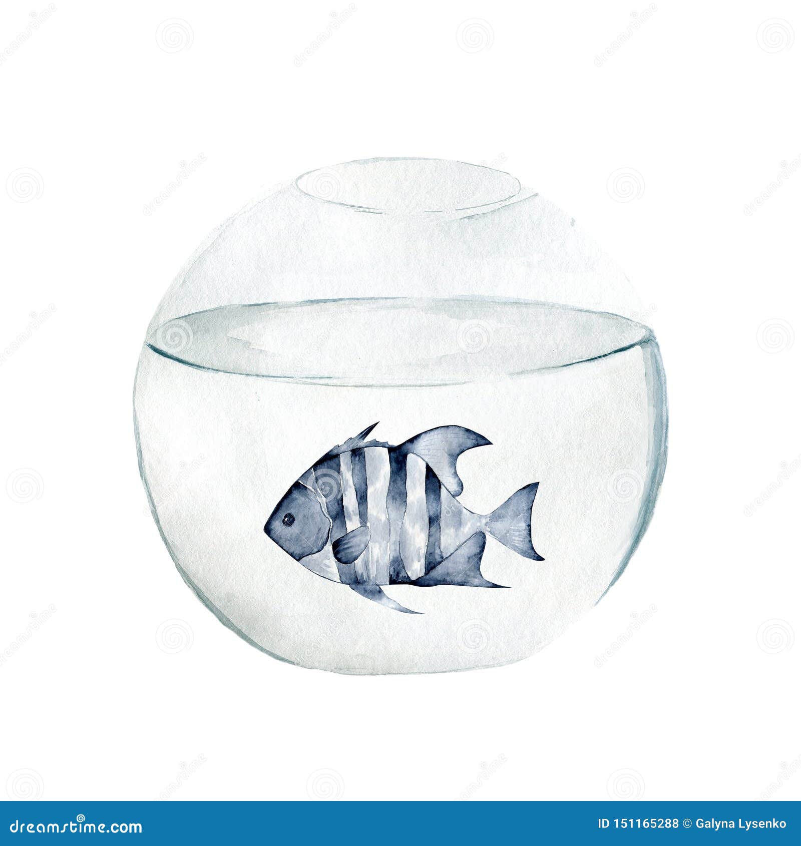 Aquarium, a Realistic Aquarium with Fish and Algae. Watercolor Illustration  of Aquarium with Fish Isolated on White Stock Illustration - Illustration  of decoration, flat: 151166363