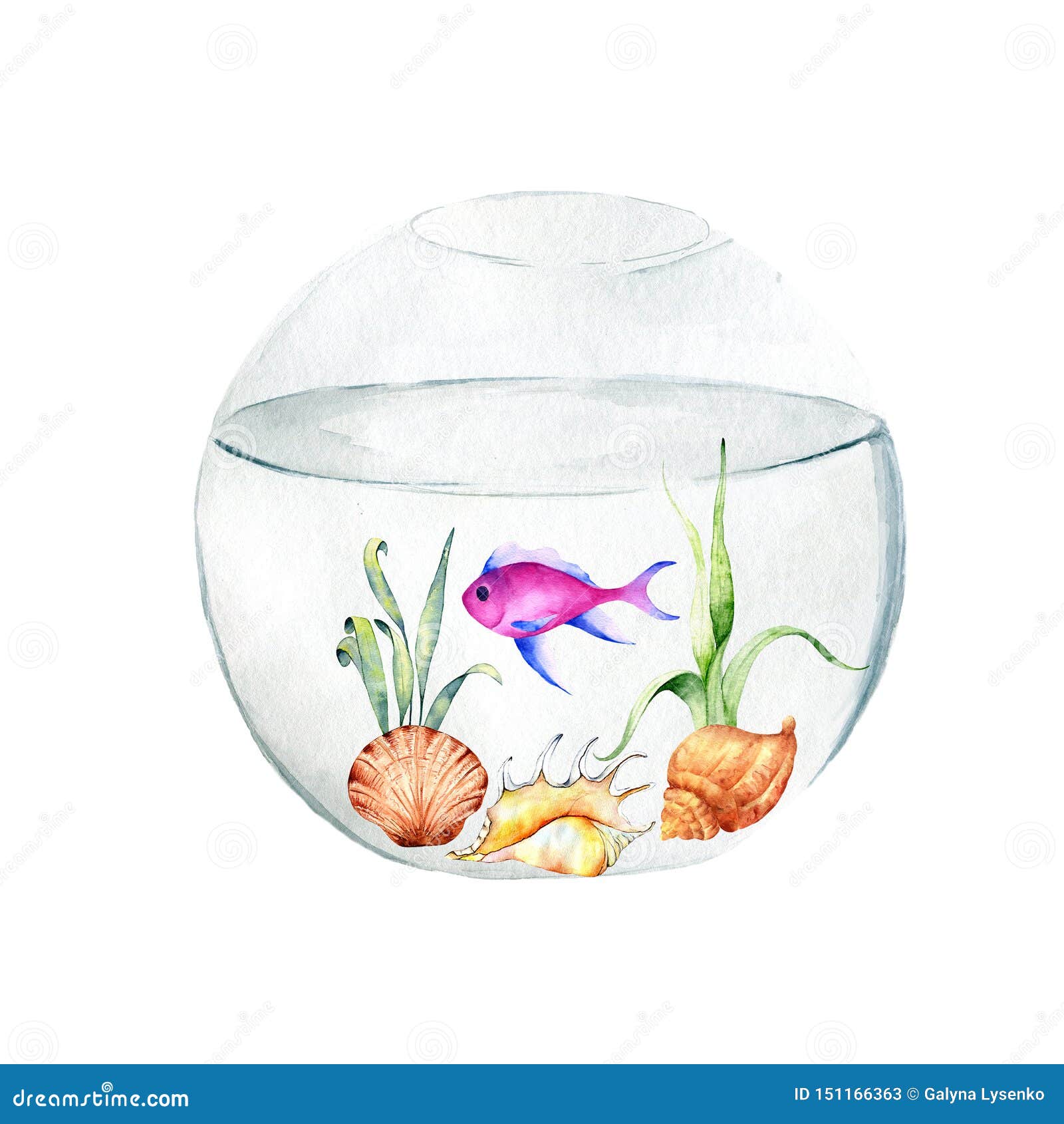 Complete Fish Tank Coloring Page - NetArt | Fish tank drawing, Fish  coloring page, Coloring pages