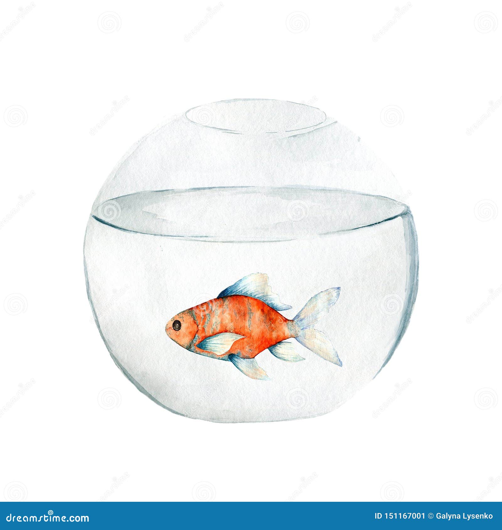 Graphic Black And White Stock Aquarium Drawing Unbelievable - Fish Tank  Clip Art PNG Image | Transparent PNG Free Download on SeekPNG