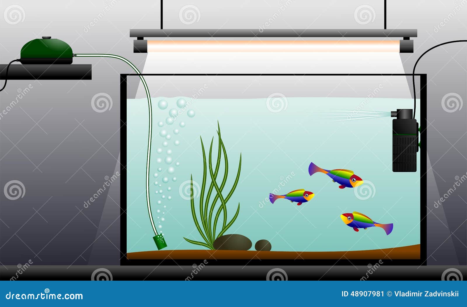 Aquarium. stock vector. Illustration of equipment, schematic 48907981