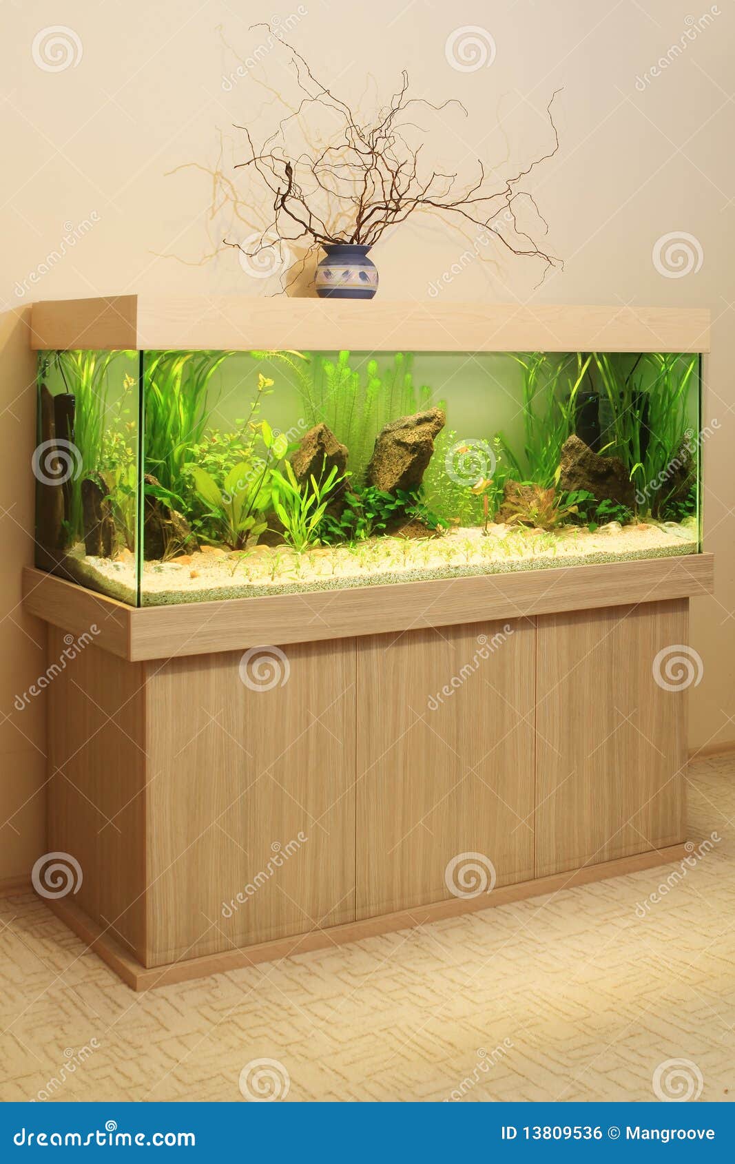 Aquarium à la maison photo stock. Image du ornement, aquatique 13809536