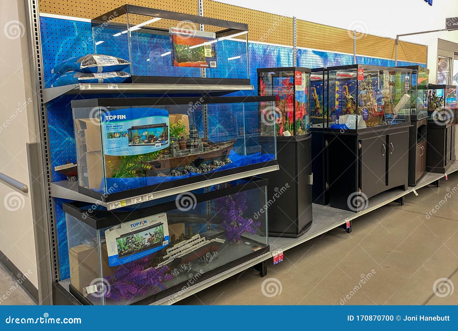 Aquariums for Pet Fish, Reptiles, and Rodents on Sale at a Petsmart Pet  Superstore Editorial Image - Image of cats, brown: 170870700