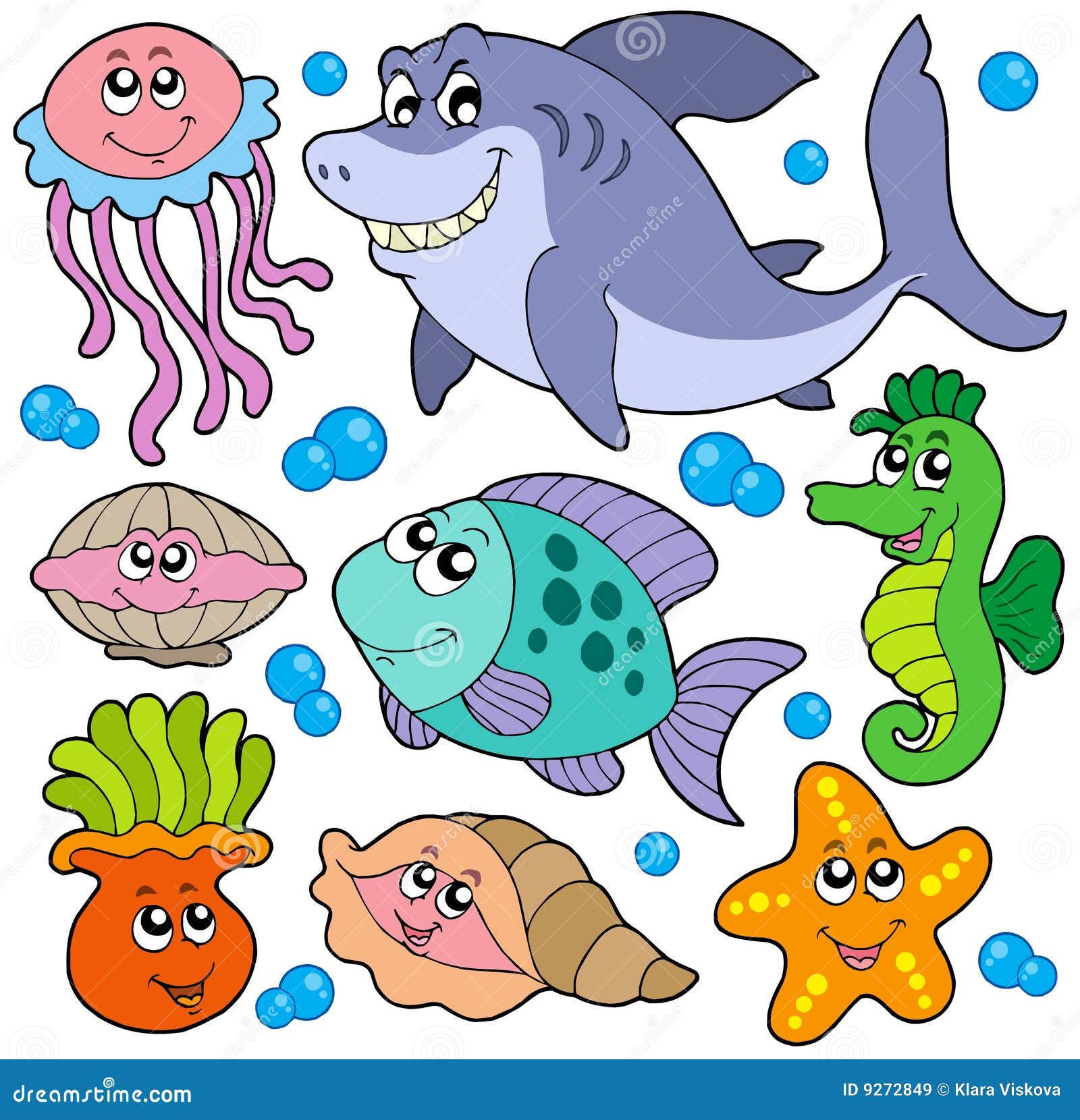 aquatic animals collection