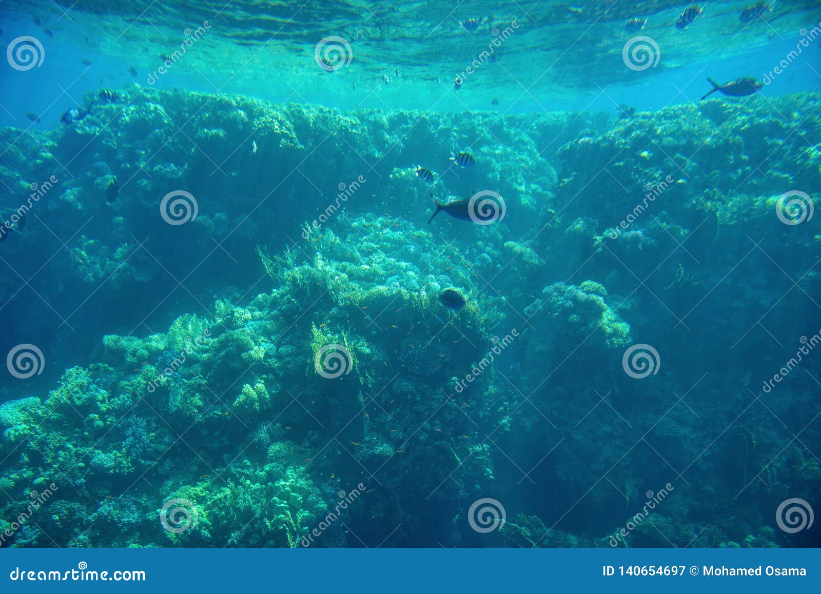 Aquatic Deep Seabed Underwater Background Stock Image Image of rough