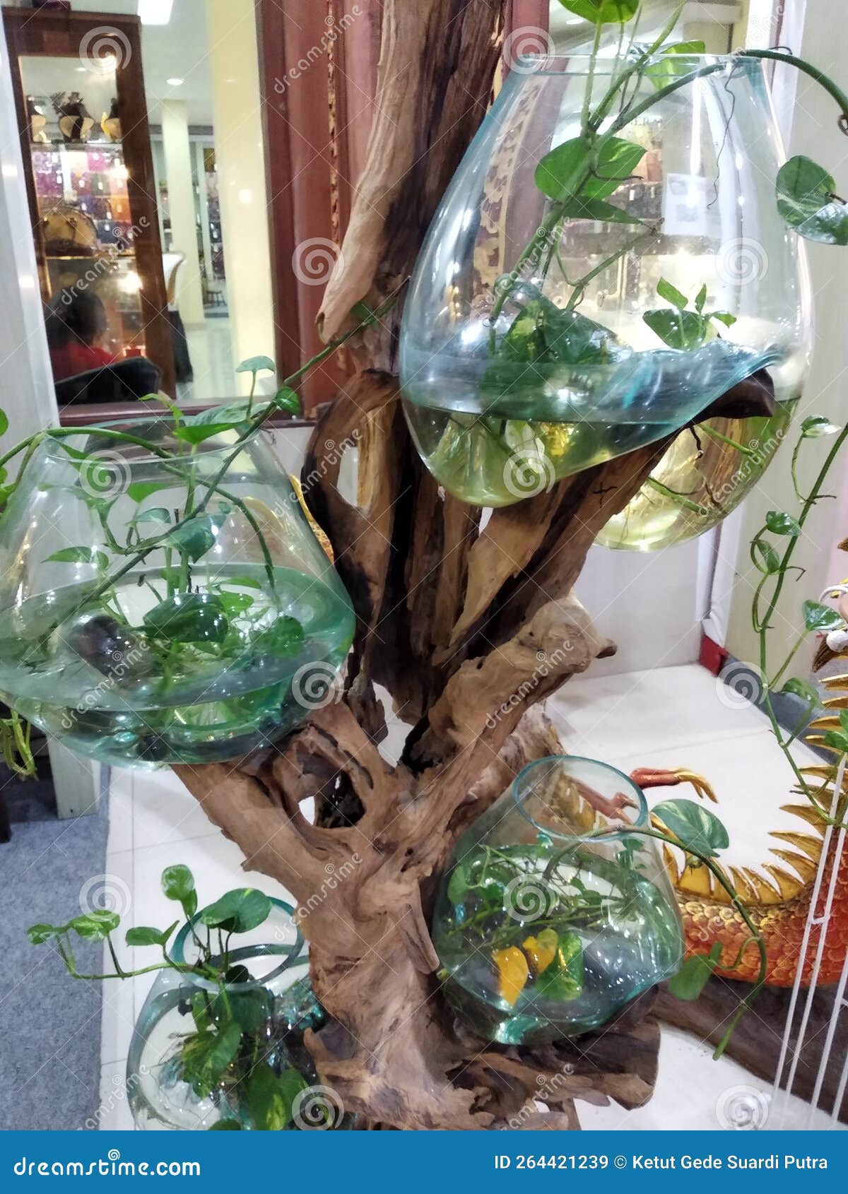 Aquatic Plants in a Glass Jar with a Large Tree Trunk Stock Image