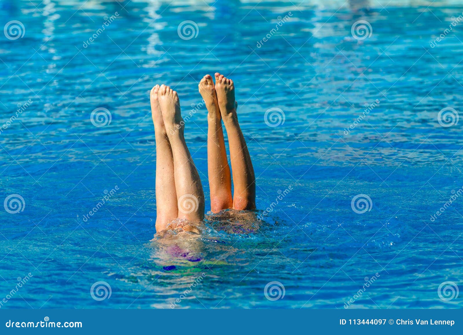 Aquatic Synchronised Swimmers Underwater Stock Image Image of