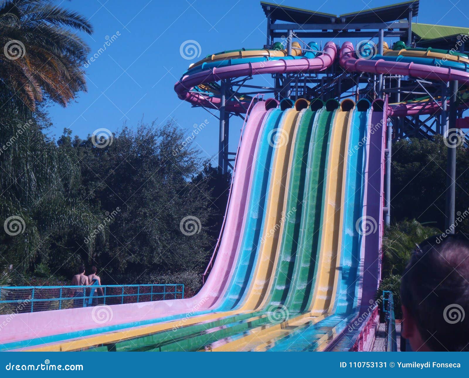 751 Aquatica Orlando Photos Free Royalty Free Stock Photos From Dreamstime