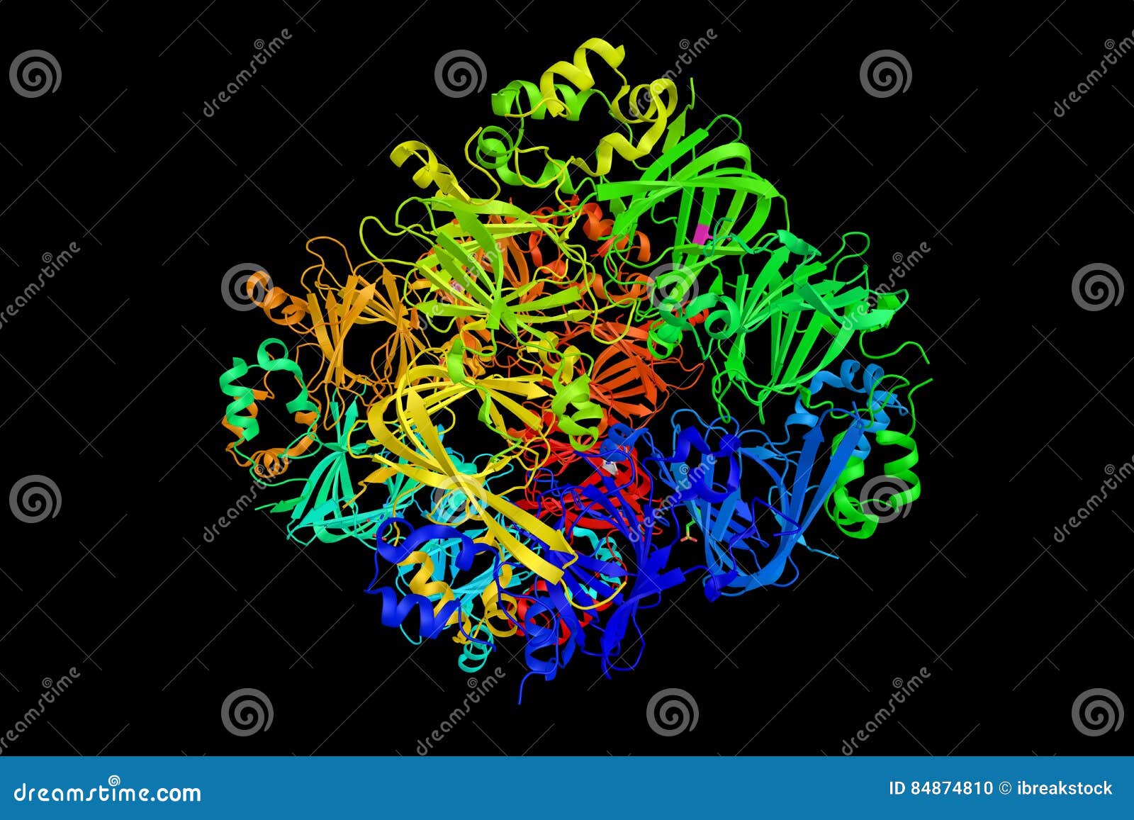 Ara H1 is a Storage Protein from Arachis Hypogaea Peanuts Stock Illustration - Illustration of black, storage: 84874810