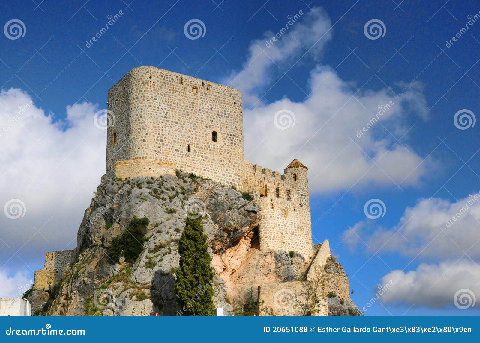arab castle in olvera