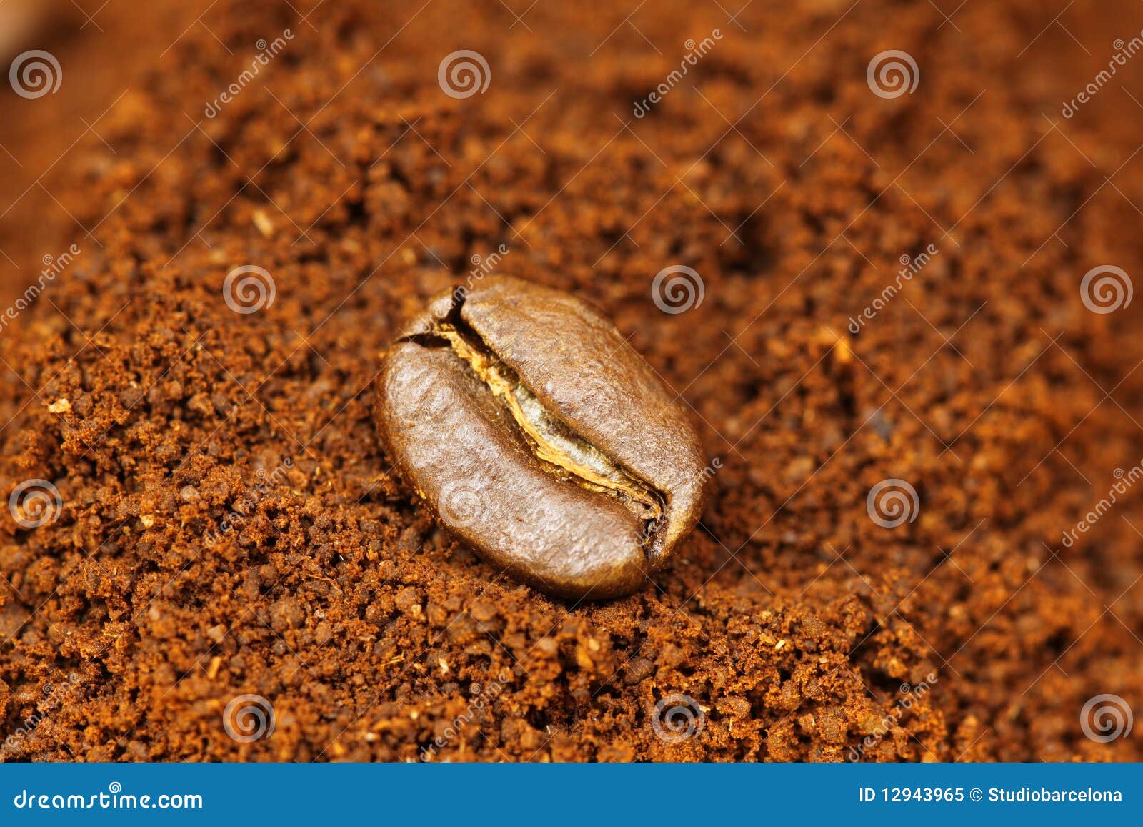 Arabic coffee bean stock image. Image of aromatic, grain 12943965