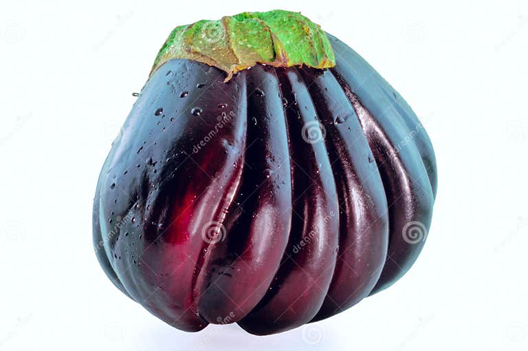 Arabic Eggplant stock image. Image of green, purple, healthy 17236747