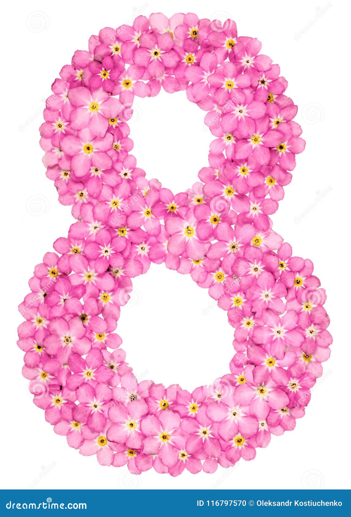 arabic numeral 8, eight, from pink forget-me-not flowers, isolat