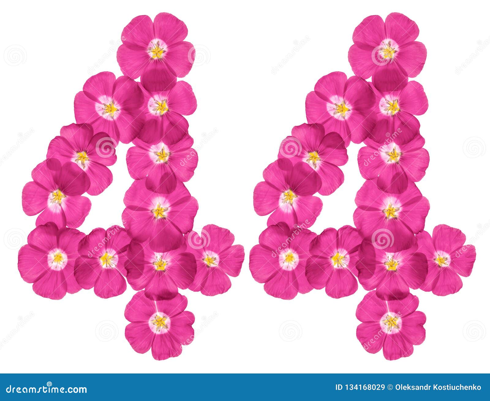 Arabic numeral 44, forty four, from pink flowers of flax, isolated on white background.