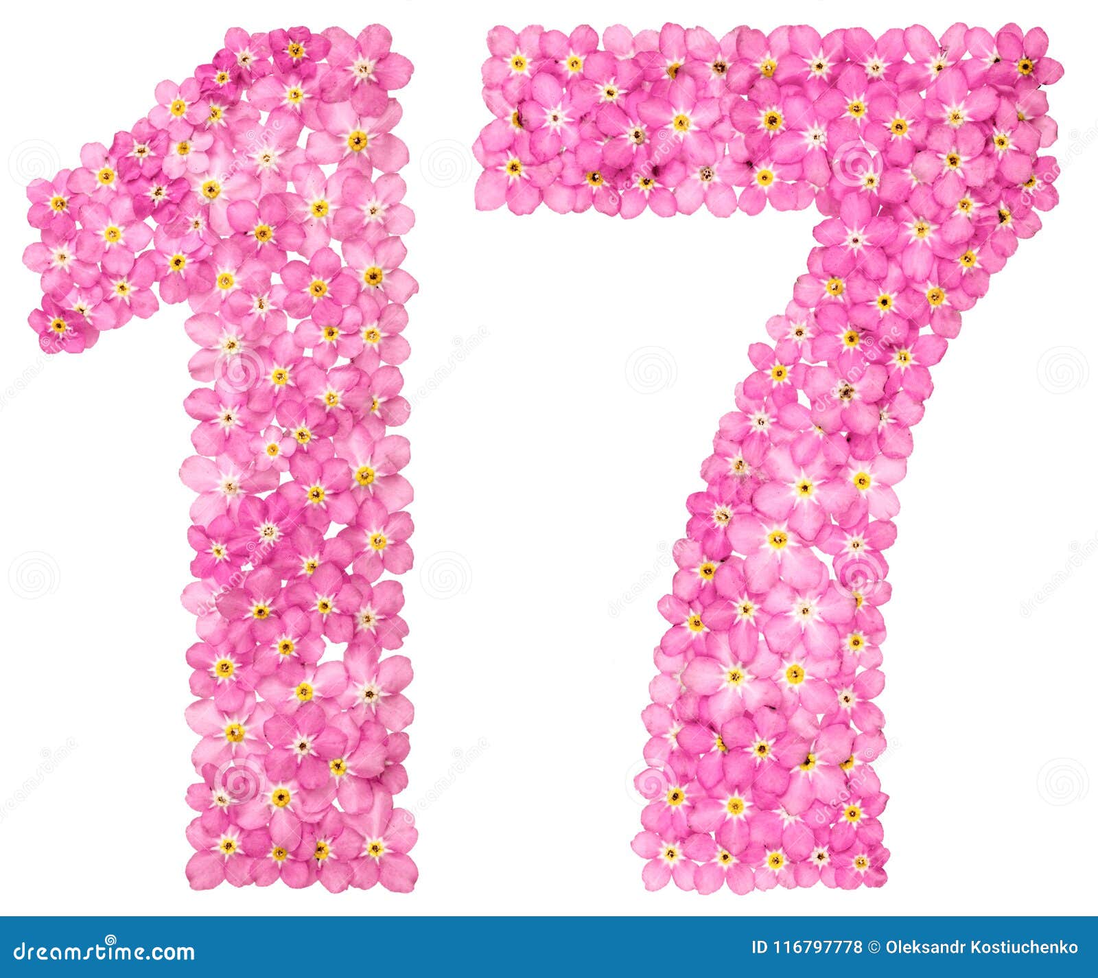 Arabic Numeral 17 Seventeen From Pink Forget Me Not Flowers I