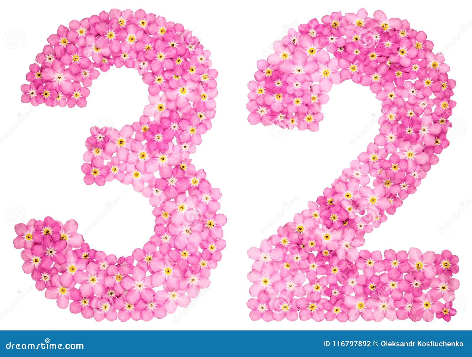 Arabic Numeral 32, Thirty Two, from Pink Forget-me-not Flowers