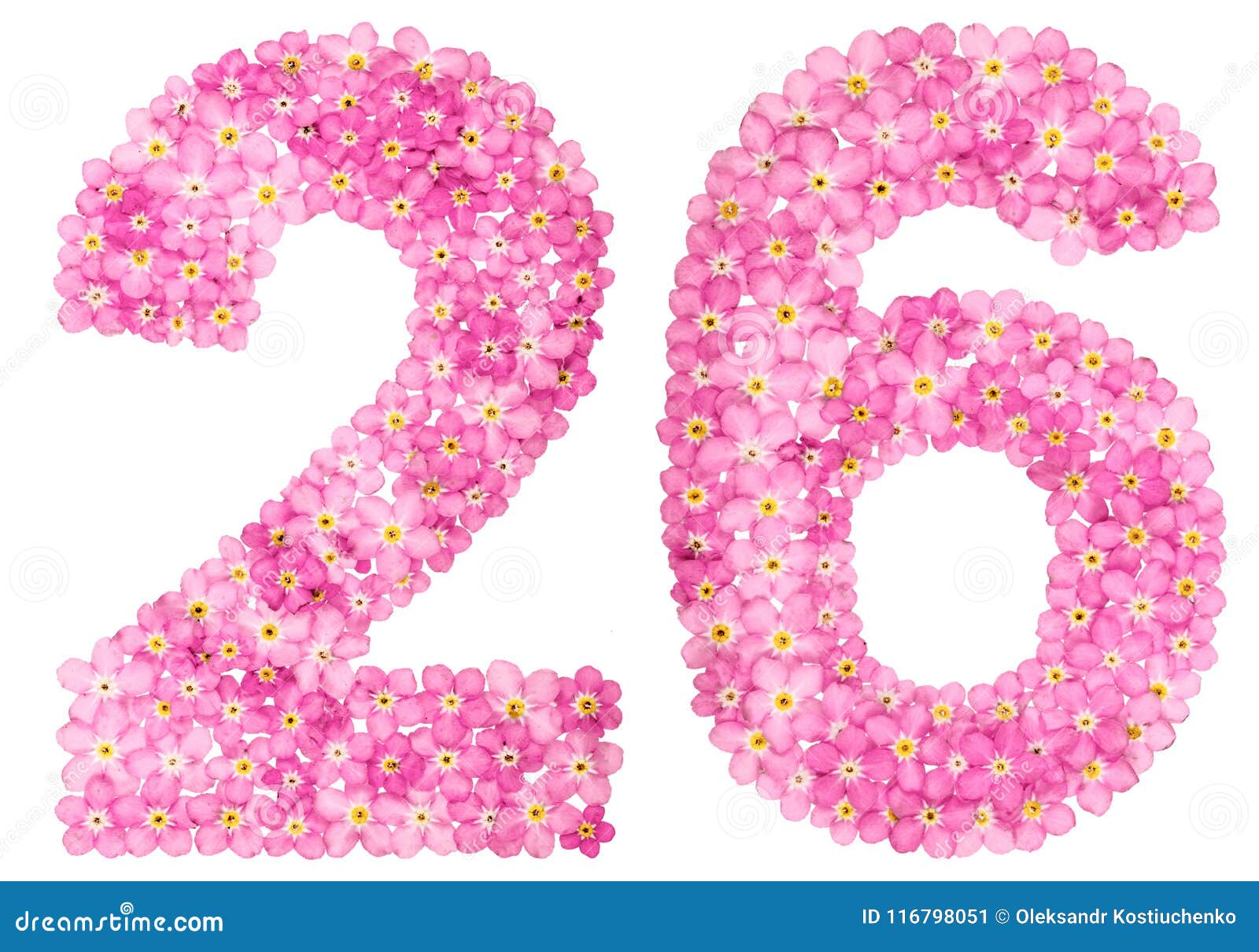 Arabic Numeral 26, Twenty Six, from Pink Forget-me-not Flowers