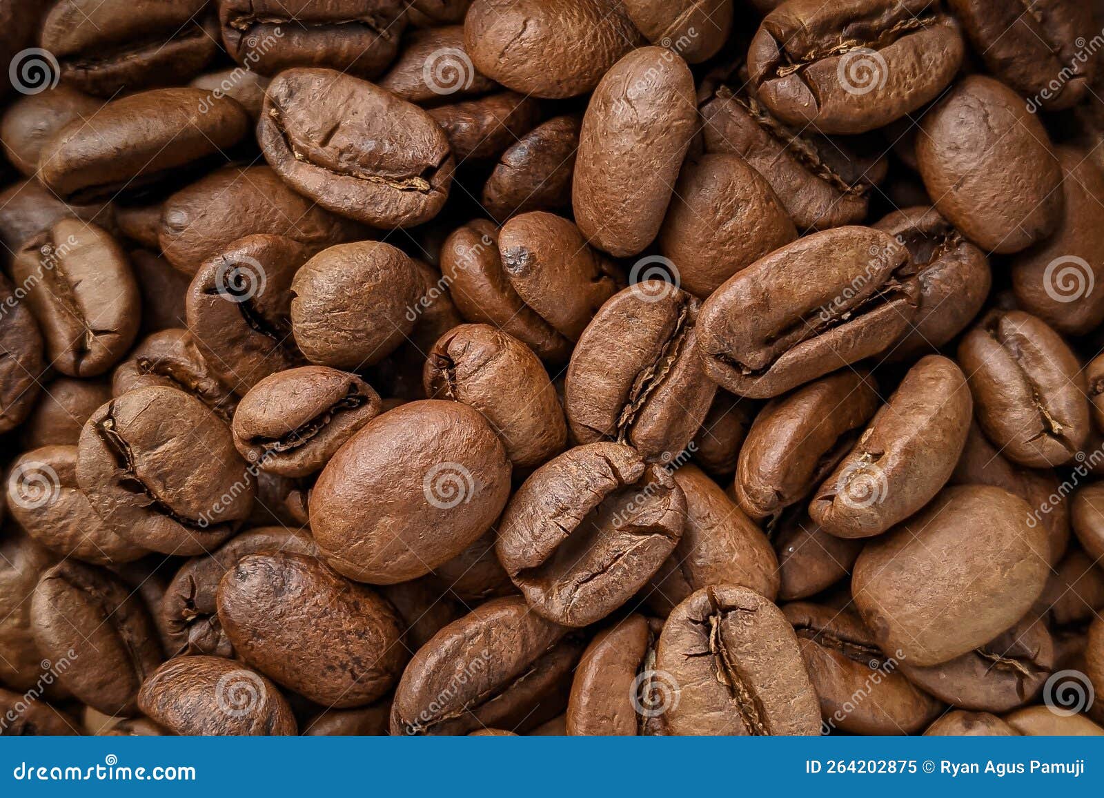 Coffee roasted beans stock image. Image of coffee, roasted 264202875