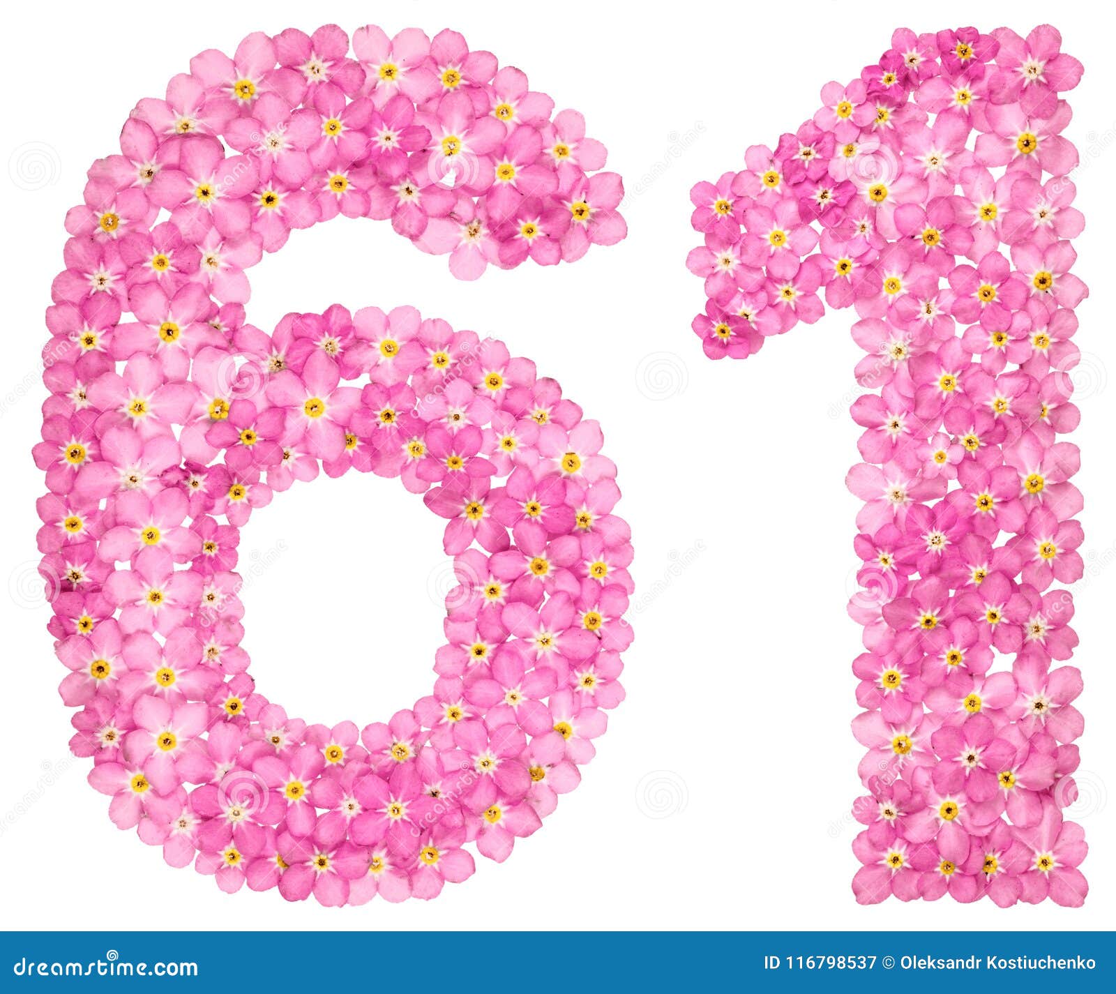Незабудки цифра 1. Цифры из цветов. Цифра 6 розового цвета. Цифра 6 в бело розовых цветах. Цветы с цифрами.