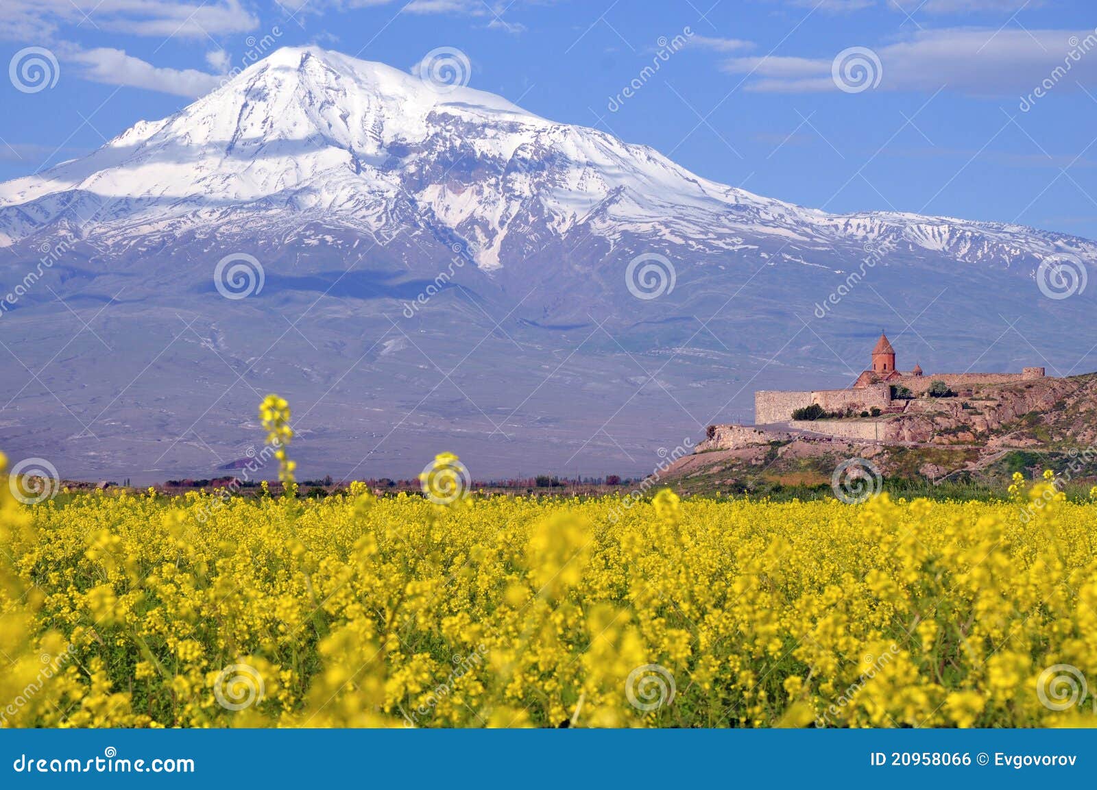 Ararat in Armenia stock photo. Image of landscape, field 20958066