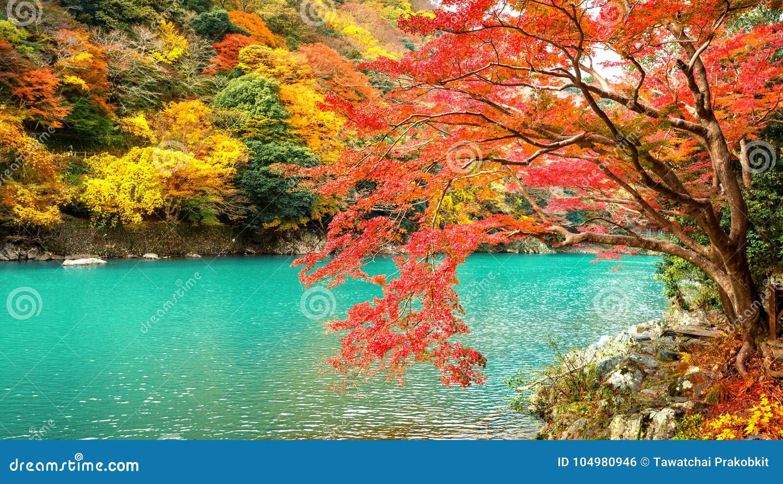 arashiyama in autumn season along the river in kyoto, japan