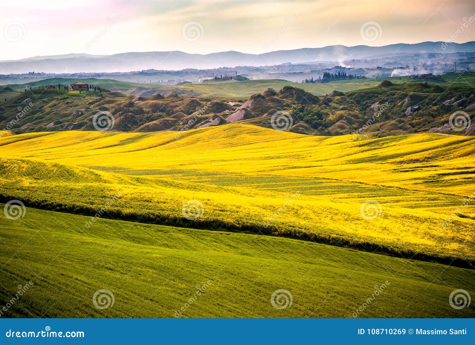 Fiori Gialli Toscana.Arbia Toscana Italia Di Val D Colline Coltivate Con Grano E