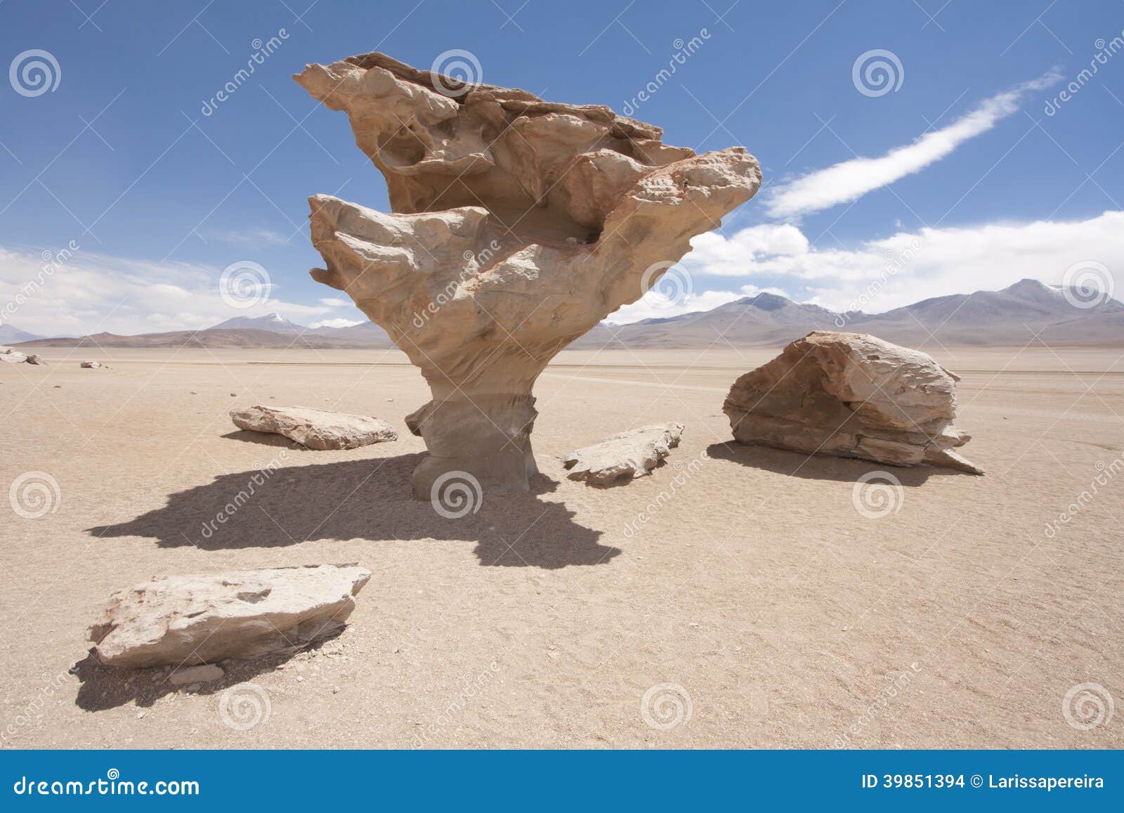 arbol de piedra, bolivia