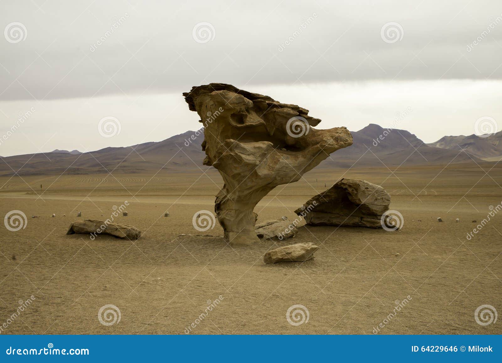 arbol de piedra