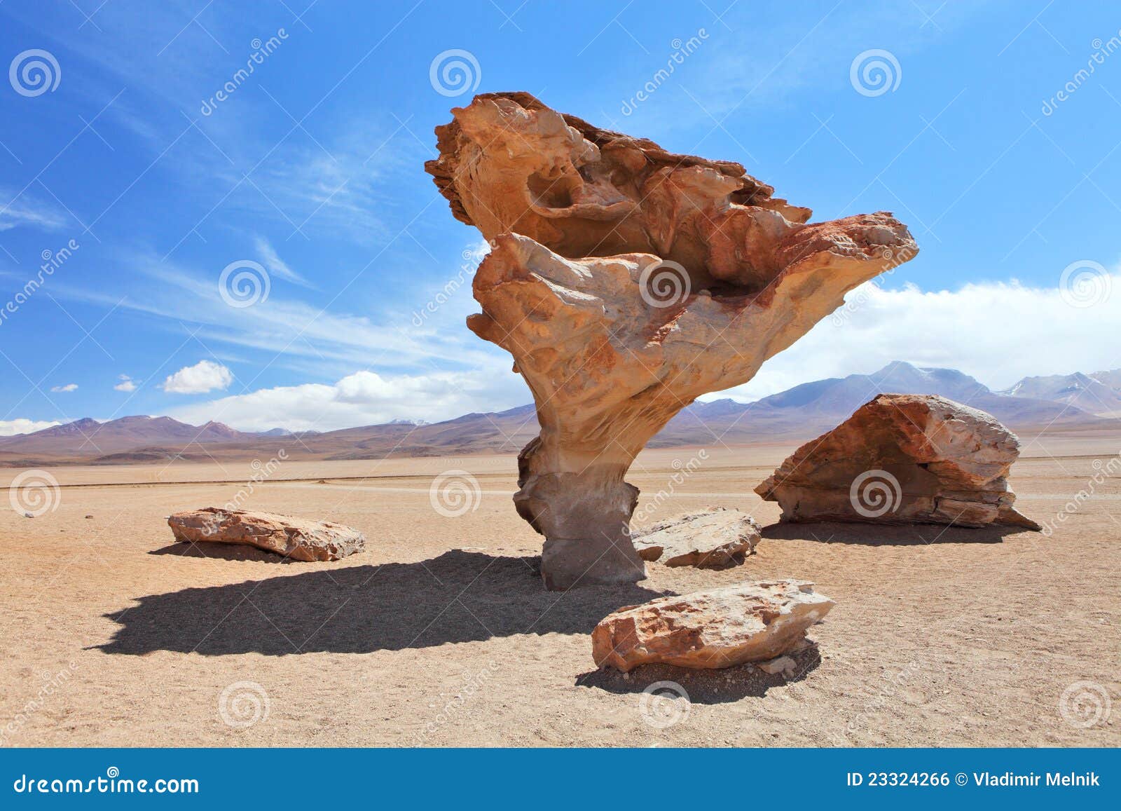 arbol de piedra or stone tree on altiplano