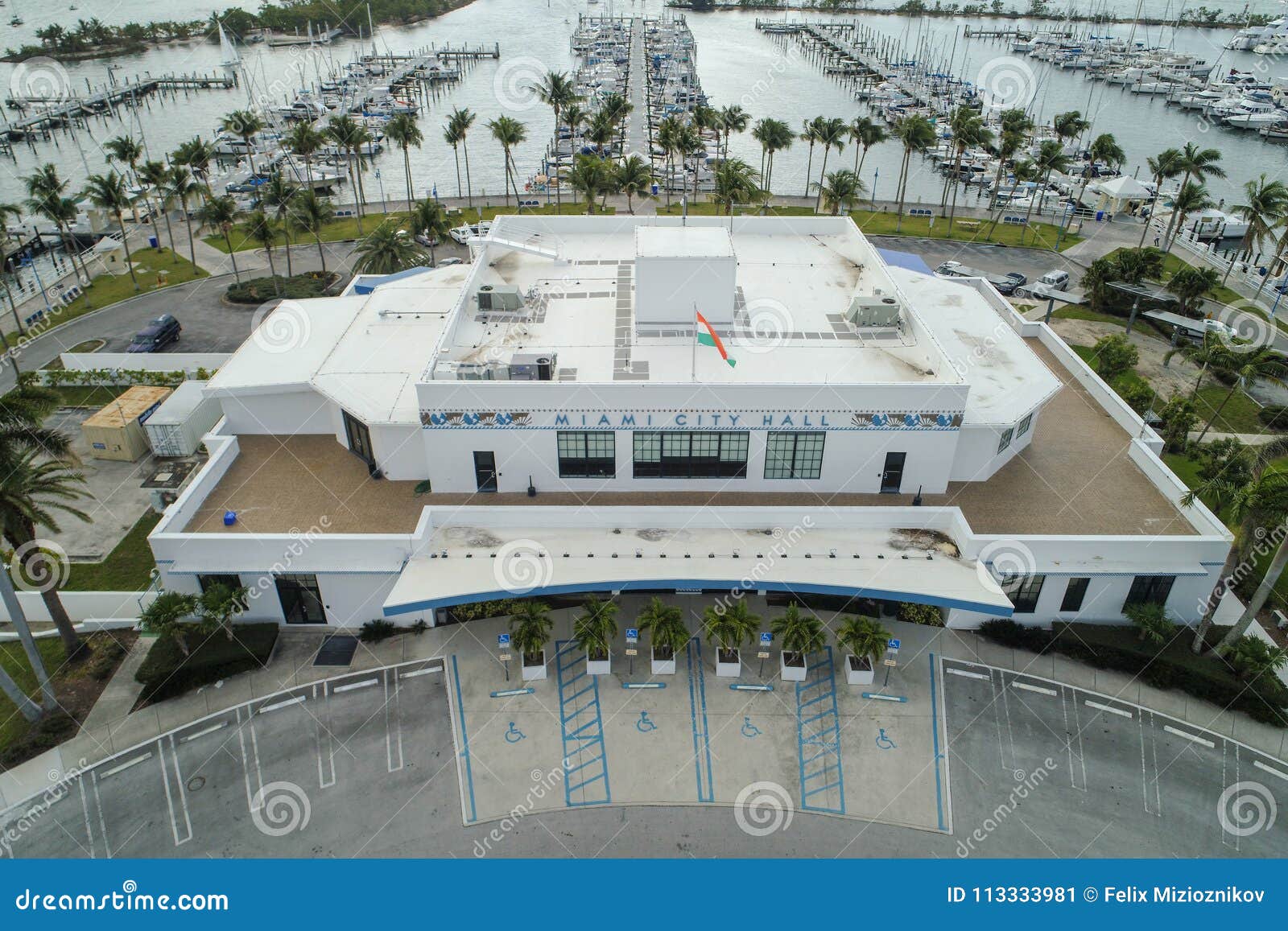 Arboleda Del Coco Del Edificio De Ayuntamiento De Miami Imagen de