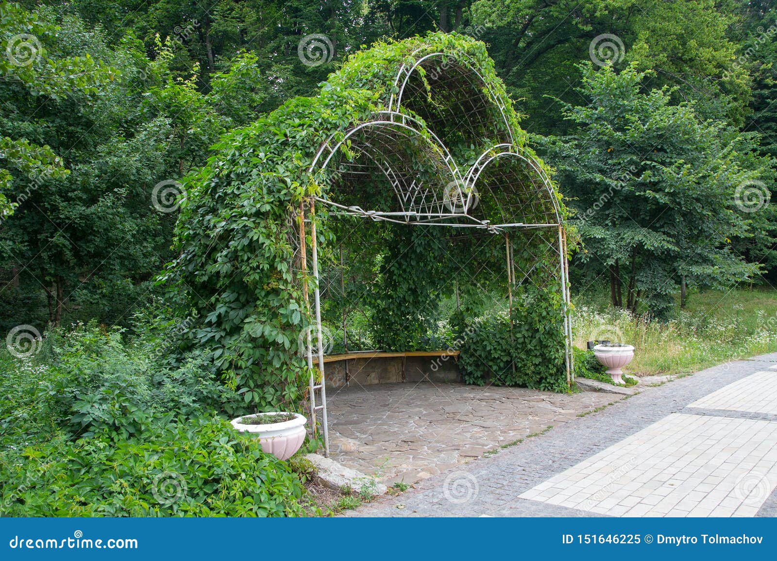 Arbor in the Garden Twined an Ivy Stock Image Image of coast, arbor